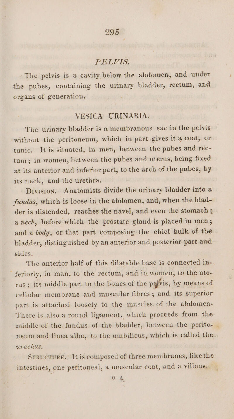 PELVIS. The pelvis is a cavity below the abdomen, and under the pubes, containing the urinary bladder, rectum, and organs of generation. ; VESICA’ URINARIA. The urinary bladder is a membranous sac in the pelvis without the peritoneum, which in part gives it 3 coat, or tunic. It is situated, in men, between the pubes and rec- tum; in women, between the pubes and uterus, being fixed at its anterior and inferior part, to the arch of the pubes, by its neck, and the urethra. Division. Anatomists divide the urinary bladder into a fundus, which is loose in the abdomen, and, when the blad- der is distended, reaches the navel, and even the stomach 5 a neck, before which the prostate gland is placed in men ; and a body, or that part composing the chief bulk of the | bladder, distinguished by an anterior and posterior part and sides. The anterior half of this dilatable base is connected in- ‘ feriorly, in man, to the rectum, and in women, to the ute- rus; its middle part to the bones of the pglvis, by means of celinlar membrane and muscular fibres ; and its superior part is attached loosely to the muscles. of the abdomen- ‘There is also a round Ligament, which proceeds from the middle of the. fundus of the bladder, between the periter | neum and linea alba, to the umbilicus, which is called the- urachus, SrrucTuRE. It is composed of three membranes, like the intestines, one peritoneal, a muscular coat, and a villous. , a 4.