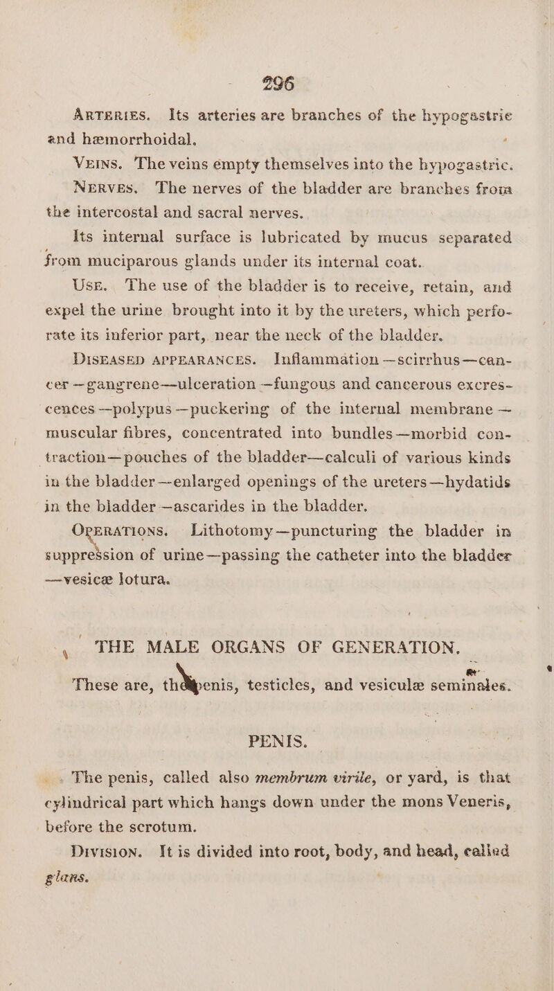 Arteries. Its arteries are branches of the hypogastrie znd hemorrhoidal. ; Veins. The veins empty themselves into the hypogastric. Nerves. The nerves of the bladder are branches from the intercostal and sacral nerves. Its internal surface is lubricated by mucus separated from muciparous glands under its internal coat. Use. ‘The use of the bladder is to receive, retain, and expel the urine brought into it by the ureters, which perfo- rate its inferior part, near the neck of the bladder. DISEASED APPEARANCES. Inflammation —scirrhus—can- cer —gangrene—ulceration —fungous and cancerous excres- cences —polypus —puckering of the internal membrane ~ muscular fibres, concentrated into bundles—morbid con- traction— pouches of the bladder—calculi of various kinds in the bladder—enlarged openings of the ureters—hydatids in the bladder —ascarides in the bladder. OpeRATIONS. Lithotomy—puncturing the bladder in Ris iy of urine —passing the catheter into the bladder —vesice lotura. \ THE MALE ORGANS OF GENERATION, | ae These are, the@penis, testicles, and vesicule seminales. PENIS. _. The penis, called also membrum virile, or yard, is that cylindrical part which hangs down under the mons Veneris, before the scrotum. Division. It is divided into root, body, and head, calied glans.