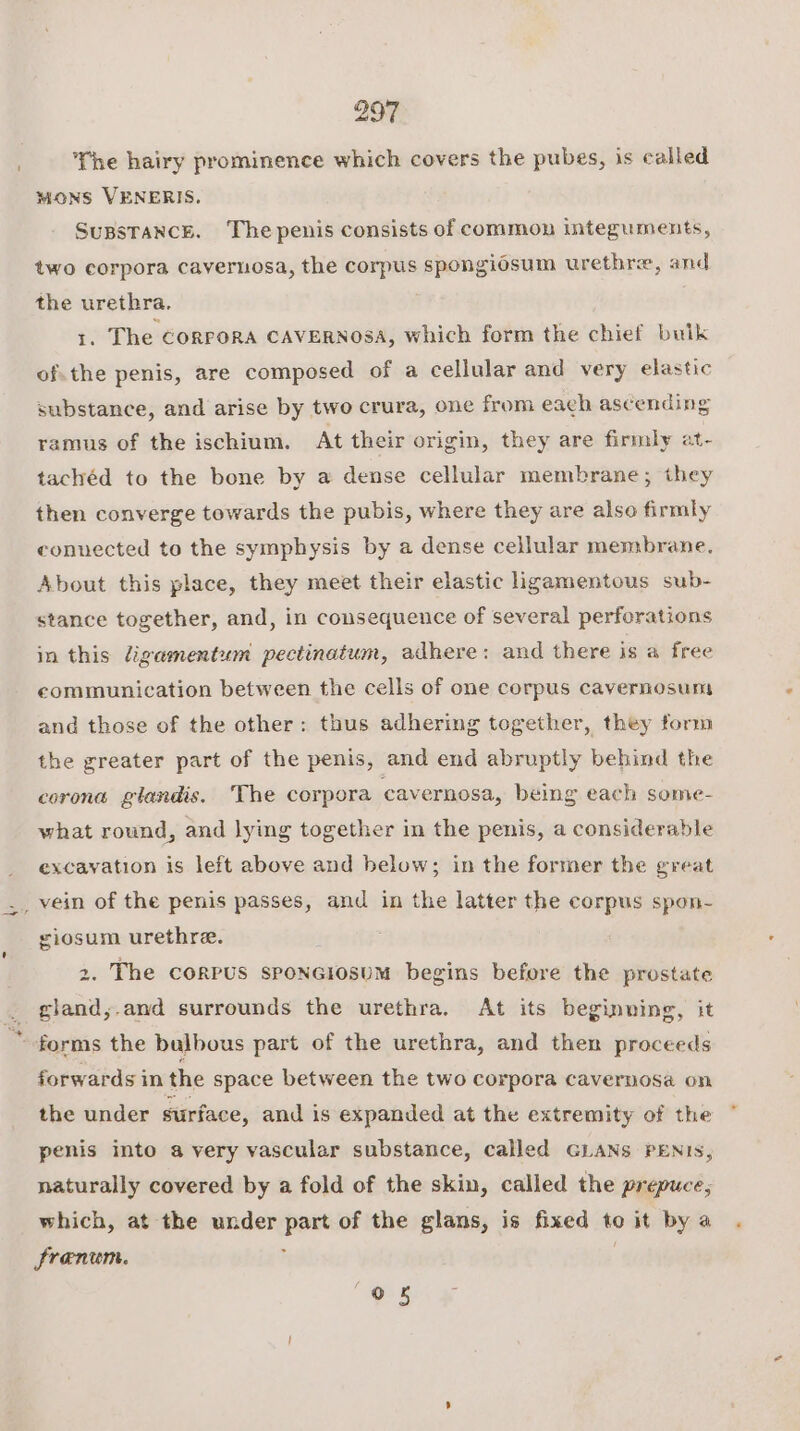 {he hairy prominence which covers the pubes, is ealled MONS VENERIS., SuBsTANCcK. The penis consists of common integuments, two corpora cavernosa, the corpus spongiosum urethre, and the urethra. 1. The Corpora CAVERNOSA, Which form the chief buik of.the penis, are composed of a cellular and very elastic substance, and arise by two crura, one from each ascending ramus of the ischium. At their origin, they are firmly at. tachéd to the bone by a dense cellular membrane; they then converge towards the pubis, where they are also firmly connected to the symphysis by a dense cellular membrane. About this place, they meet their elastic ligamentous sub- stance together, and, in consequence of several perforations in this ligamentum pectinatum, adhere: and there is a free communication between the cells of one corpus cavernosums and those of the other: thus adhering together, they form the greater part of the penis, and end abruptly behind the corona glandis. The corpora cavernosa, being each some- what round, and lying together in the penis, a considerable excavation is left above and below; in the former the great _ vein of the penis passes, and in the latter the corpus spon- giosum urethre. 2. The corpus sponciosum begins before the prostate gland,.and surrounds the urethra. At its beginning, it forms the bulbous part of the urethra, and then proceeds forwards i in the space between the two corpora cavernosa on the under surface, and is expanded at the extremity of the penis into a very vascular substance, called GLANS PENIS, naturally covered by a fold of the skin, called the prepuce; which, at the under ‘is of the glans, is fixed to it bya . frenum.