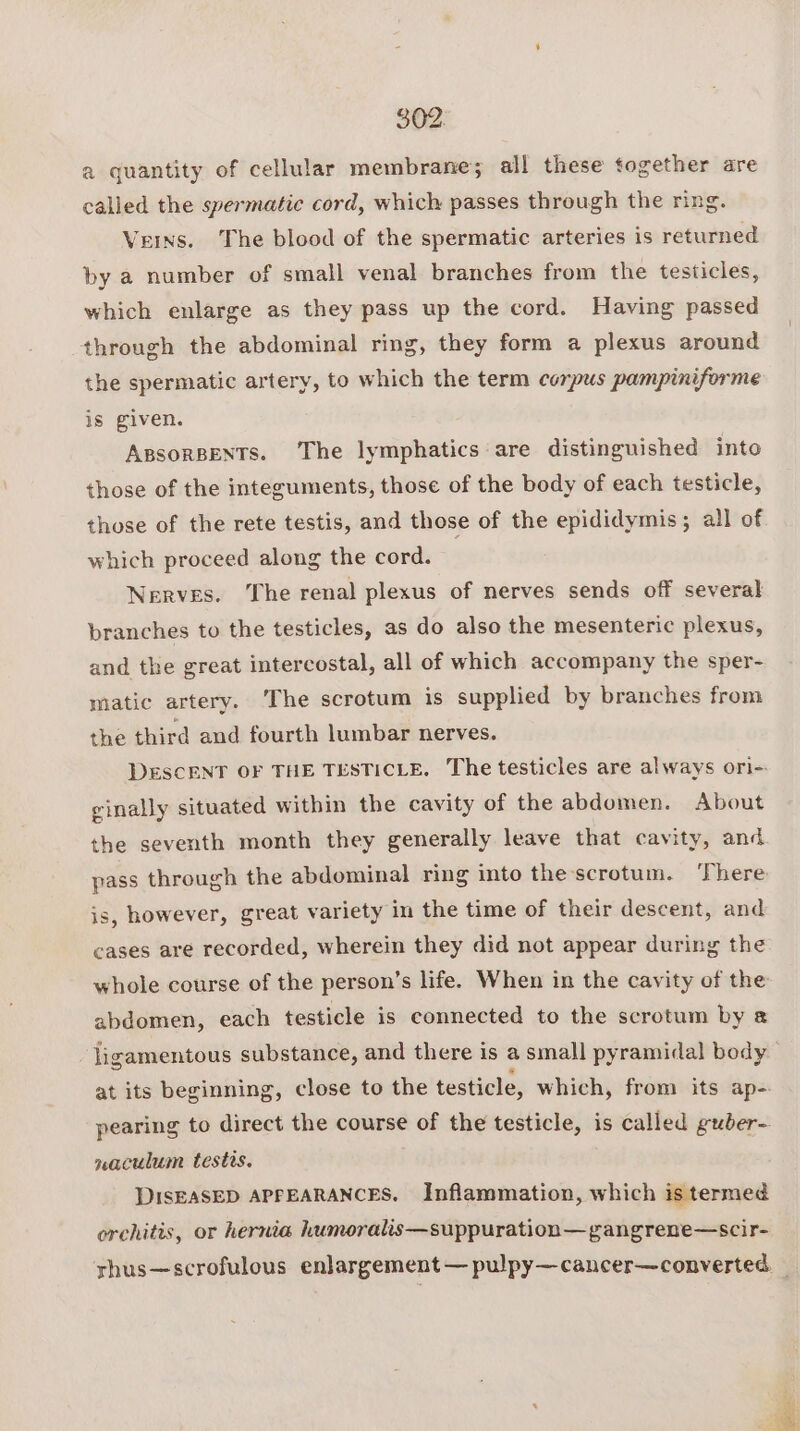 a quantity of cellular membrane; all these together are called the spermatic cord, which passes through the ring. Veins. The blood of the spermatic arteries is returned by a number of small venal branches from the testicles, which enlarge as they pass up the cord. Having passed through the abdominal ring, they form a plexus around the spermatic artery, to which the term corpus pampiniforme is given. ApsorBENTS. ‘The lymphatics are distinguished into those of the integuments, those of the body of each testicle, those of the rete testis, and those of the epididymis; all of which proceed along the cord. | Nerves. The renal plexus of nerves sends off several branches to the testicles, as do also the mesenteric plexus, and the great intercostal, all of which accompany the sper- matic artery. The scrotum is supplied by branches from the third and fourth lumbar nerves. DESCENT OF THE TESTICLE. The testicles are always ori-- cinally situated within the cavity of the abdomen. About the seventh month they generally leave that cavity, and pass through the abdominal ring into thescrotum. There is, however, great variety in the time of their descent, and cases are recorded, wherein they did not appear during the whole course of the person’s life. When in the cavity of the abdomen, each testicle is connected to the scrotum by a ligamentous substance, and there is a small pyramidal body at its beginning, close to the testicle, which, from its ap-. pearing to direct the course of the testicle, is called guber- naculum testis. DISEASED APFEARANCES. Inflammation, which is termed orchitis, or hernia humoralis—suppuration— gangrene—scir- yhus—scrofulous enlargement — pulpy—cancer—converted.