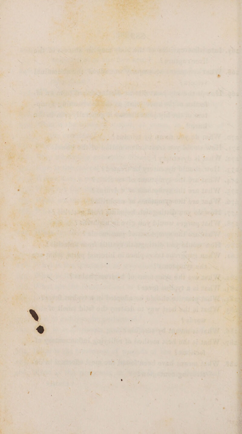 od o Pe st fae ent.” WS. ae % x ad ‘ J f - é pa? oo, ae é > a * % ol &: # *.