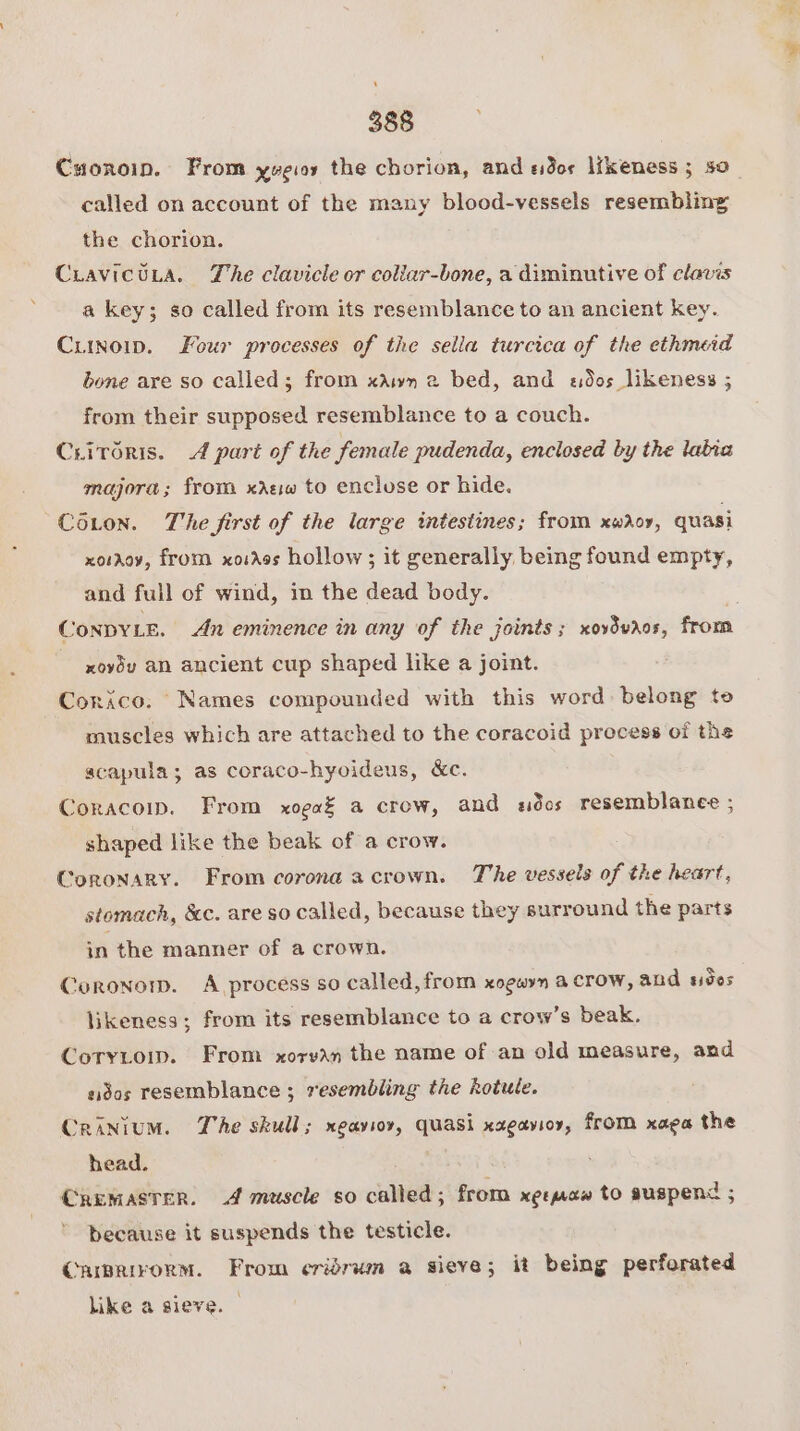 ‘ 388 Coron. From yvgioy the chorion, and edor likeness ; 50 called on account of the many blood-vessels resembling the chorion. CravictLa. Zhe clavicle or collar-bone, a diminutive of claves a key; so called from its resemblance to an ancient key. Curnow. Four processes of the sella turcica of the ethmeid bone are so called; from xawn 2 bed, and sdos likeness ; from their supposed resemblance to a couch. Criroris. 4 part of the female pudenda, enclosed by the labia majora; from xaew to enclose or hide. Coton. The first of the large intestines; from xwdoy, quasi xo:Aoy, from xoiass hollow; it generally being found empty, and full of wind, in the dead body. xoyou an ancient cup shaped like a joint. Corico. Names compounded with this word belong te muscles which are attached to the coracoid process of the scapula; as coraco-hyoideus, &amp;c. Coracoww. From xoga¥ a crow, and adcs resemblanee ; shaped like the beak of a crow. Coronary. From corona acrown. The vessels of the heart, stomach, &amp;c. are so called, because they surround the parts in the manner of a crown. Coronow. A process so called, from xogayn a crow, and #05 likeness; from its resemblance to a crow’s beak. CoryLtomw. From xorvan the name of an old measure, and sidos resemblance ; resembling the kotule. Crinium. The skull; xeaviov, quasi xagavioy, from xaga the head. Cremaster. 4 muscle so called; from xetmaw to suspend ; because it suspends the testicle. Carmermorm. From eridrum a sieve; it being perforated like a sieve.