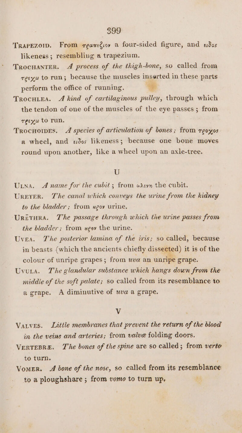 Trapezoip. From reanregsoy a four-sided figure, and sdes likeness; resembling a trapezium. TROCHANTER. 4 process of the thigh-bone, so called from reexw to run; because the muscles inserted in these parts perform the office of running. a | TrocuLEA. A kind of cartilaginous pulley, through which the tendon of one of the muscles of the eye passes ; from reeyw to run. . TrocuoiwEs. A species of articulation of bones; from reoxos a wheel, and «dos likeness; because one bone moves round upon another, like a wheel upon an axle-tree. U Una. 4 name for the cubit ; from wreyn the cubit. Urerer. The canal which conveys the urine from the kidney to the bladder ; from sgoy urine. Uretura. The passage through which the urine passes from the bladder ; from seey the urine. Uvea. The posterior lamina of the iris; so called, because in beasts (which the ancients chiefly dissected) it is of the colour of unripe grapes; from uve an unripe grape. Uvuita. The glandular substance which hangs down from the middle of the soft palate; so called from its resemblance to a grape. A diminutive of wva a grape. V VaLves. Little membranes that prevent the return of the blood in the veins and arteries; from valve folding doors. VERTEBRE. The bones of the spine are so called; from verte to turn. VomeER. A bone of the nose, so called from its resemblance to a ploughshare ; from vomo to turn up. 4