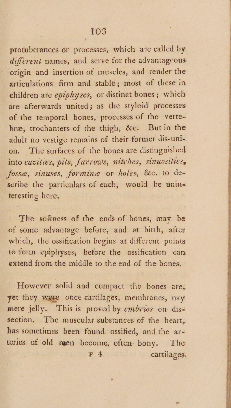 105 protuberances or processes, which are called by different names, and serve for the advantageous origin and insertion of muscles, and render the articulations firm and stable; most of these in children are epiphyses, or distinct bones ; which are afterwards united; as the styloid processes of the temporal bones, processes of the verte- bra, trochanters of the thigh, &amp;c. But in the on. ‘The surfaces of the bones are distinguished into cavities, pits, furrows, nitches, sinuosittes, fosse, sinuses, forming or holes, &amp;c. to de- scribe the particulars of each, would be unin= teresting here. The softness of the ends of bones, may be of some advantage before, and at birth, after which, the ossification begins at different points to form epiphyses, before the ossification can extend from the middle to the end of the bones. However solid and compact the bones are, yet they wese once cartilages, membranes, nay mere jelly. This is proved by embrios on dis&lt; section. ‘The muscular substances of the heart, has sometimes been found. ossified, and the ar- teri¢s. of old meen become, often. bony. The E4 cartilages,