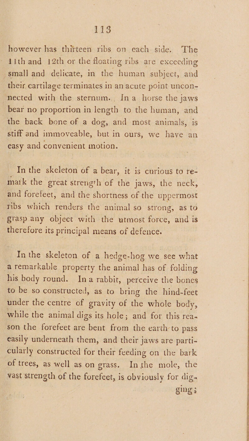 however has thirteen ribs on each side. The Lith and 12th or the floating ribs are exceeding small and delicate, in the human subject, and their cartilage terminates in an acute point uncon- nected with the sternum... In a_horse the jaws bear no proportion in length to the human, and the back bone of a dog, and most animals, is stiff and immoveable, but in ours, we have an easy and convenient motion. _ Inthe skeleton of a bear, it is curious to re- matk the great strength of the jaws, the neck, _and foreteet, and the shortness of the uppermost ribs which renders the animal so strong, as to grasp any object with the utmost force, and is therefore its principal means of defence. In the skeleton of a hedge-hag we see what aremarkable property the animal has of folding his body round. Ina rabbit, perceive the bones to be so constructed, as to bring the hind-feet under the centre of gravity of the whole body, while the animal digs its hole; and for this rea- son the forefeet are bent ae the earth to pass easily underneath them, and their jaws are parti- cularly constructed for their feeding on the bark of trees, as well as on grass. Inthe mole, the vast strength of the forefeet, is obviously for dig. ging