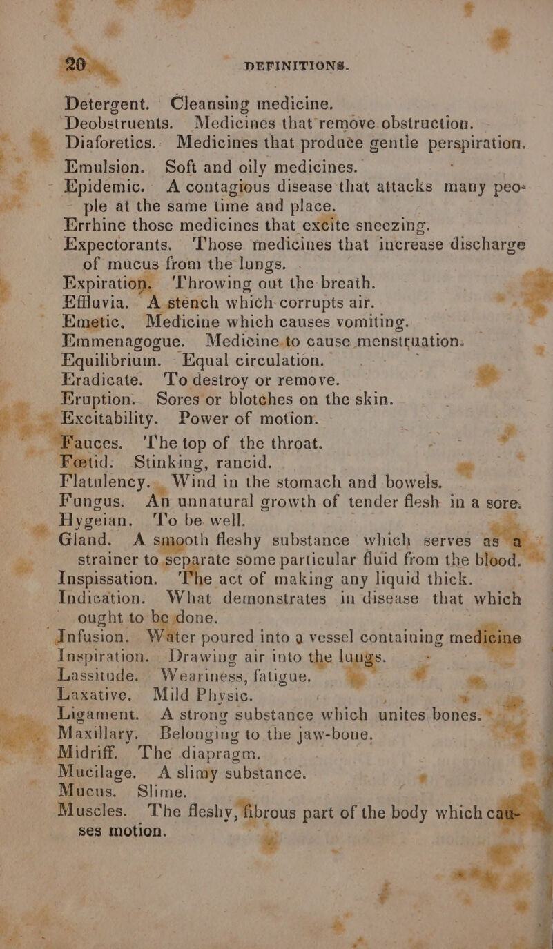 Detergent. Cleansing medicine. _ ‘Deobstruents. Medicines that remove obstruction. ” - Diaforetics. Medicines that produce gentle La ene ' Emulsion. Soft and oily medicines. | - Epidemic. A contagious disease that attacks many peo- nia ple at the same time and place. Errhine those medicines that excite sneezing. Expectorants. Those medicines that increase discharge : of mucus from the lungs. , Expiration. ‘lhrowing out the breath. Effluvia. A stench which corrupts air. ; Emetic. Medicine which causes vomiting. Emmenagogue. Medicine.to cause menstruation. Equilibrium. Equal circulation, 9 - ~ Eradicate. ‘T’o destroy or remove e ‘Eruption.. Sores or blotches on the skin. ~ Excitability. Power of motion. ~Fauces. ‘The top of the throat. wee: Stinking, rancid. latulency. . Wind in the stomach and bowels. Fungus. An unnatural growth of tender flesh in a sore. * Hygeian. To be. well. Gland. A smooth fleshy substance which serves . strainer to separate some particular fluid from the bloo ~ Inspissation. The act of making any liquid thick. Indication. What demonstrates in disease that which ought to be done. Infusion. er poured into a vessel containing ae | # = Inspiration. Drawing air into the lun gs. se Lassitude. Weariness, fatigue. A ys @, Laxative. Mild Physic. * Ligament. A strong substance which unites bones.» Maxillary. Belonging to the Jaw-bone. *8 -Midriff. The diapragm. Mucilage. A slimy substance. ‘ Mucus. Slime. ‘ Muscles. The fleshy fibrous part of the body whiche ses motion. *