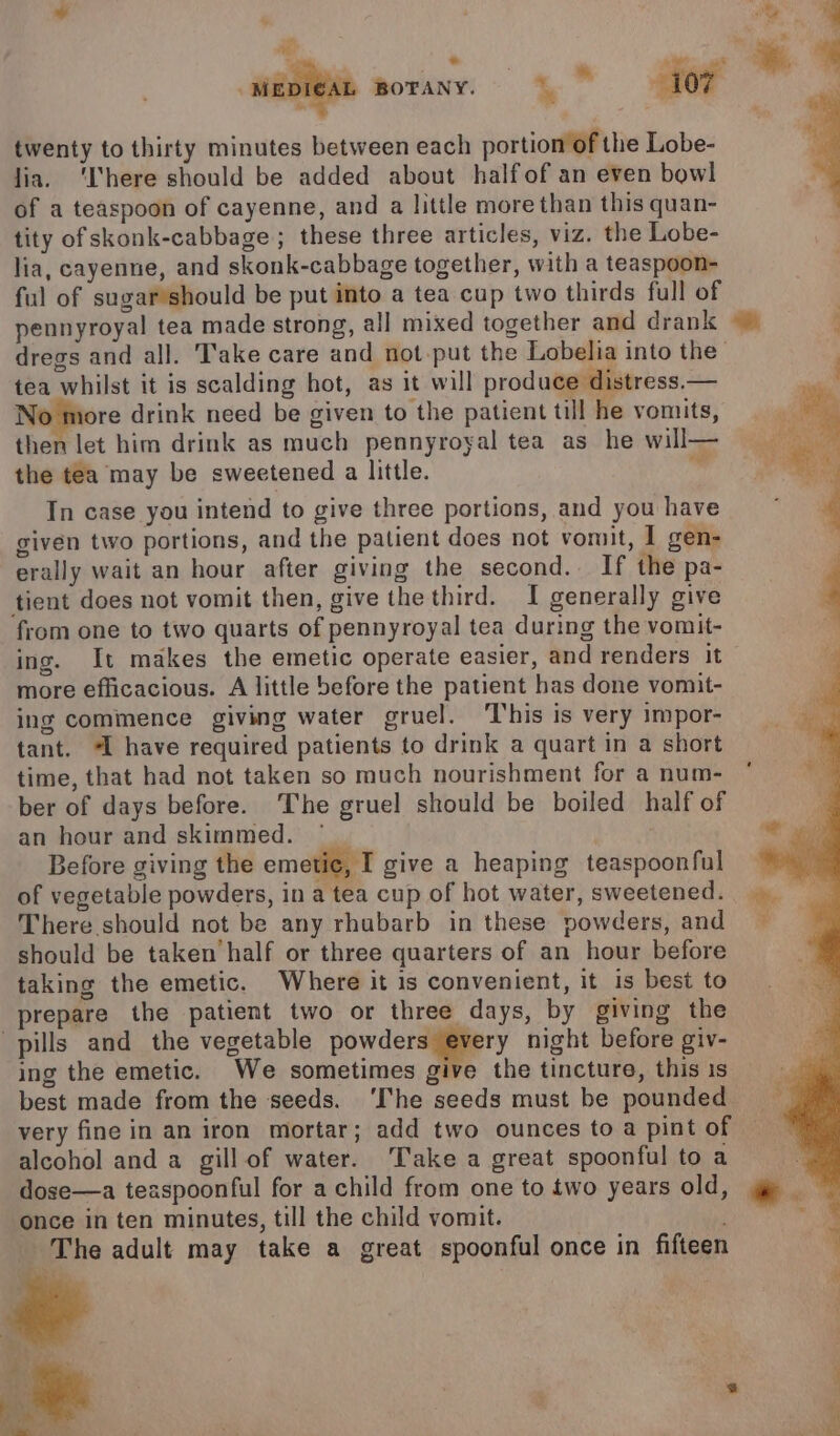 a . . Ae sa ; * % x a ' MEDICAL BOTANY. ‘ 107 ing twenty to thirty minutes between each portion of the Lobe- lia. ‘here should be added about half of an even bowl of a teaspoon of cayenne, and a little more than this quan- tity of skonk-cabbage ; these three articles, viz. the Lobe- lia, cayenne, and skonk-cabbage together, with a teaspoon- ful of sugar’should be put into a tea cup two thirds full of pennyroyal tea made strong, all mixed together and drank dregs and all. Take care and not put the Lobelia into the’ tea whilst it is scalding hot, as it will produce distress.— No more drink need be given to the patient till he vomits, then let him drink as much pennyroyal tea as he will— the tea may be sweetened a little. ” In case you intend to give three portions, and you have given two portions, and the patient does not vomit, I gen- erally wait an hour after giving the second. If the pa- tient does not vomit then, give the third. I generally give from one to two quarts of pennyroyal tea during the vomit- ing. It makes the emetic operate easier, and renders it more efficacious. A little before the patient has done vomit- ing commence giving water gruel. ‘This is very impor- tant. “ have required patients to drink a quart in a short time, that had not taken so much nourishment for a num- ber of days before. The gruel should be boiled half of an hour and skimmed. — Before giving the emetic, I give a heaping teaspoonful of vegetable powders, in a tea cup of hot water, sweetened. There should not be any rhubarb in these powders, and should be taken half or three quarters of an hour before taking the emetic. Where it is convenient, it is best to prepare the patient two or three days, by giving the pills and the vegetable powdersiamery night before giv- ing the emetic. We sometimes give the tincture, this is best made from the seeds. ‘The seeds must be pounded | very fine in an iron mortar; add two ounces to a pint of — alcohol and a gill of water. Take a great spoonful to a dose—a teaspoonful for a child from one to two years old, once in ten minutes, till the child vomit. _ The adult may take a great spoonful once in fifteen a Me : a