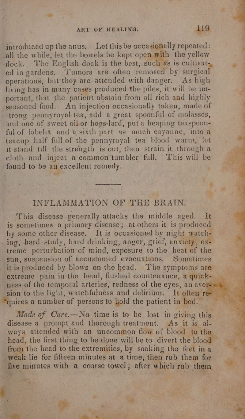 introduced up the anus. Letthisbe occasionally repeated: all the while, let the bowels be kept open with the yellow Be dock. ‘The English dock is the best, such as 1s cultivats, we ed in gardens. ‘Tumors are often removed by surgical 4 operations, but*they are attended with danger. As high 7 living has in many cases produced the piles, it will be im- ~ 2 portant, that the patient abstain from all rich and highly ‘i seasoned food. An injection occasionally taken, made of , trong pennyroyal tea, add a great spoonful of inolasses, and one of sweet oilor hogs-lard, puta heaping teaspoon- ful of lobelia and a-sixth part as much cayanne, into a teacup half full of the pennyroyal tea blood warm, let it stand till the strength is out, then strain it through a cloth and inject a common tumbler full. This will be wine, found to be an excellent remedy. ; a as -e INFLAMMATION OF THE BRAIN. This disease generally attacks the middle aged. It ; is sometimes a primary disease; at others it is produced by some other disease. It is occasioned by night watch _ ing, hard study, hard drinking, anger, grief, anxiety, € treme perturbation of mind, exposure to the heat of the sun, suspension of accustomed evacuations. Sometimes it is produced by-blows onthe head. ‘The symptoms are extreme pain in the head, flushed countenance, a quick- ness of the temporal arteries, redness of the eyes, an averse &amp; sion to the light, watchfulness and delirium. It often} uires a number of persons to hold the patient in bed. © Mode of Cure.—No time is to be lost in giving this disease a prompt and thorough treatment. As it is al ways attended with an uncommon flow of blood to th head, the first thing to be done will be to divert the blooc rat ‘the head to the extremities, by soaking the feet ina weak lie for fifieen minutes at a time, then rub them for ie minutes with a coarse towel ; after which rab them oS «