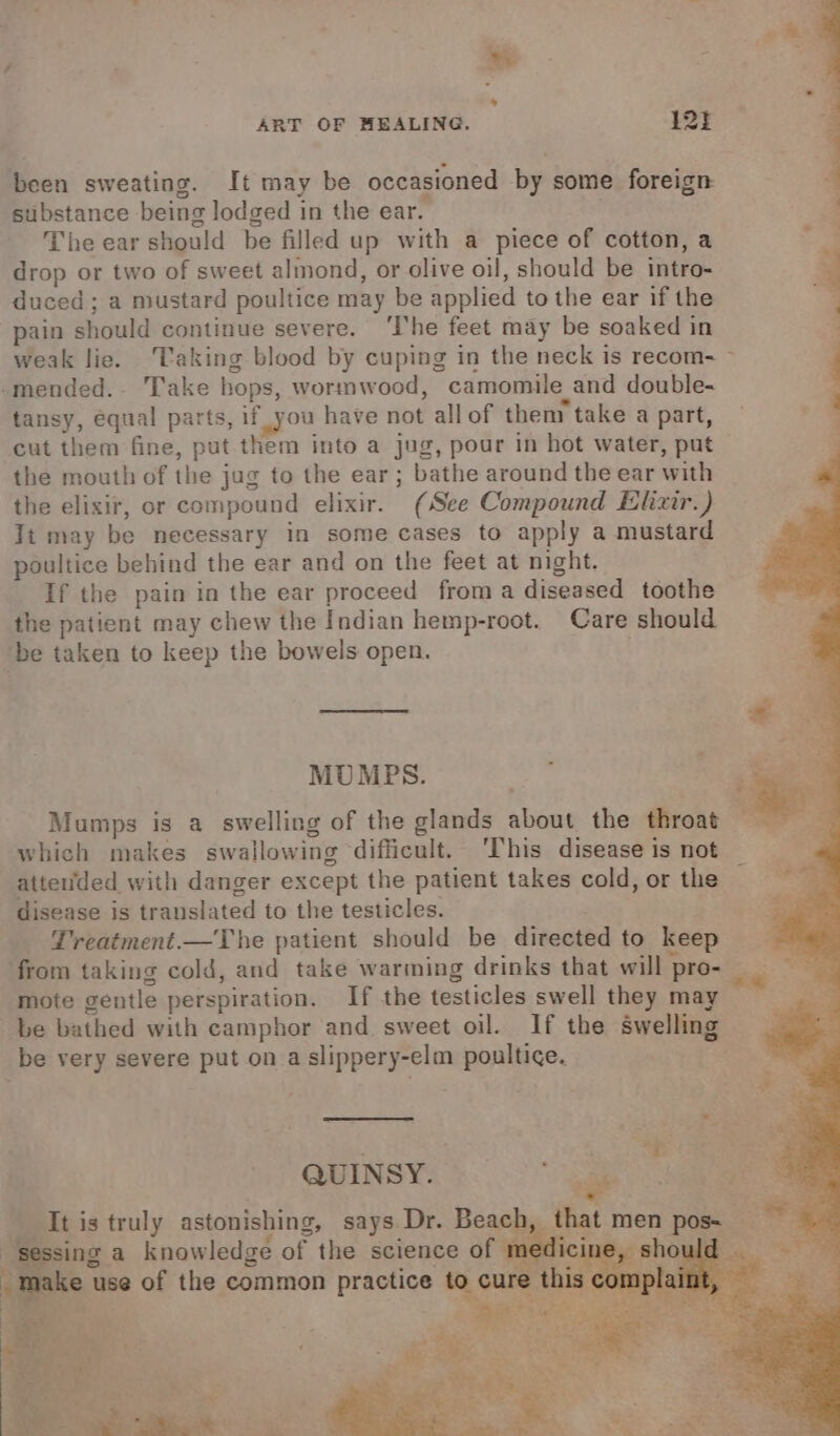 w ART OF MEALING. 12} been sweating. It may be occasioned by some foreign substance being lodged in the ear. The ear should be filled up with a piece of cotton, a drop or two of sweet almond, or olive oil, should be intro- duced ; a mustard poultice may be applied to the ear if the pain should continue severe. ‘The feet may be soaked in weak lie. Taking blood by cuping in the neck is recom- -mended.- Take hops, wormwood, camomile, and double- tansy, equal parts, if -ou have not allof them take a part, cut them fine, put them into a jug, pour in hot water, put the mouth of the jug to the ear; bathe around the ear with the elixir, or compound elixir. (See Compound Elixir.) Tt may be necessary in some cases to apply a mustard poultice behind the ear and on the feet at night. If the pain in the ear proceed froma diseased toothe the patient may chew the Indian hemp-root. Care should be taken to keep the bowels open. i MUMBS. wae eee Mumps is a swelling of the glands about the throat which makes swallowing ‘difficult. ‘This disease isnot attenided with danger except the patient takes cold,or the = disease is translated to the testicles. ju Treatment.—The patient should be directed to seee from taking cold, and take warming drinks that will pro- mote gentle perspiration. If the testicles swell they may be bathed with camphor and sweet oil. If the swelling be very severe put on a slippery-elm poultice. QUINSY. ale il é * ‘Tt is truly astonishing, says Dr. Beach, mat men pos~ = “sessing a knowledge of the science of r 8) should = | ie e use of the common practice &gt; cure: