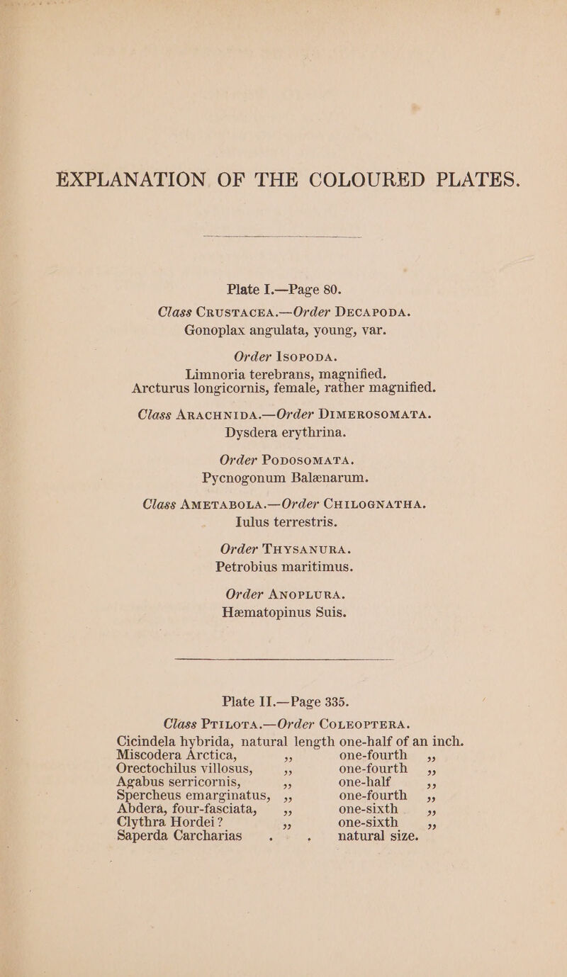 EXPLANATION OF THE COLOURED PLATES. Plate I.—Page 80. Class CRUSTACEA.—Order DECAPODA. Gonoplax angulata, young, var. Order ISOPODA. Limnoria terebrans, magnified. _ Arcturus longicornis, female, rather magnified. Class ARACHNIDA.—Order DIMEROSOMATA. Dysdera erythrina. Order PODOSOMATA. Pycnogonum Balenarum. Class AMETABOLA.—Order CHILOGNATHA. Tulus terrestris. Order THYSANURA. Petrobius maritimus. Order ANOPLURA. Hematopinus Suis. Plate I1].—Page 335. Class PTILoTA.—Order COLEOPTERA. Cicindela hybrida, natural length one-half of an inch. Miscodera Arctica, a one-fourth ,, Orectochilus villosus, 3 one-fourth ,, Agabus serricornis, x one-half 38 Spercheus emarginatus, ,, one-fourth ,, Abdera, four-fasciata, es one-sixth ny Clythra Hordei? 99 one-sixth 95 Saperda Carcharias : ; natural size.