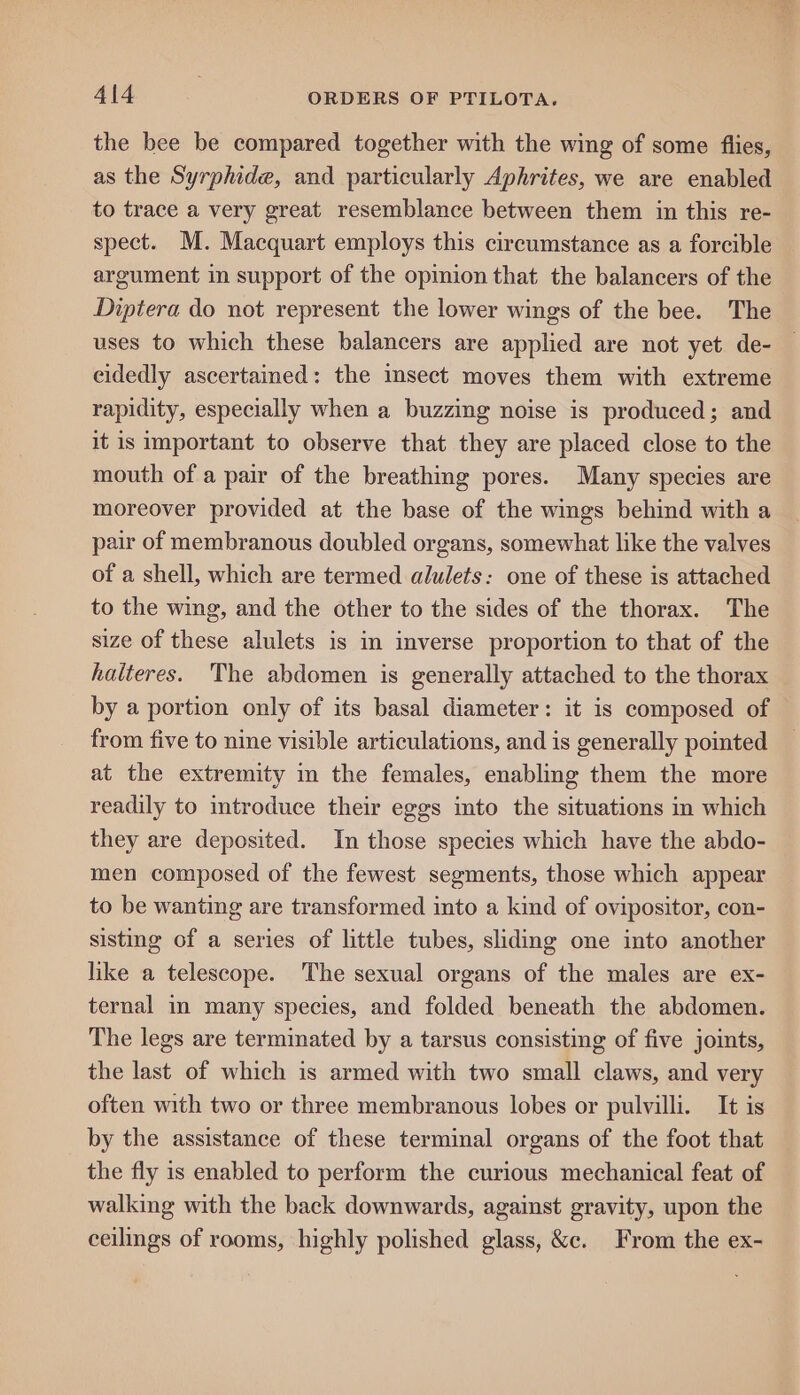 the bee be compared together with the wing of some flies, as the Syrphide, and particularly Aphrites, we are enabled to trace a very great resemblance between them in this re- spect. M. Macquart employs this circumstance as a forcible argument in support of the opinion that the balancers of the Diptera do not represent the lower wings of the bee. The uses to which these balancers are applied are not yet de- eidedly ascertained: the insect moves them with extreme rapidity, especially when a buzzing noise is produced; and it is important to observe that they are placed close to the mouth of a pair of the breathing pores. Many species are moreover provided at the base of the wings behind with a pair of membranous doubled organs, somewhat like the valves of a shell, which are termed alulets: one of these is attached to the wing, and the other to the sides of the thorax. The size of these alulets is in inverse proportion to that of the halteres. The abdomen is generally attached to the thorax by a portion only of its basal diameter: it is composed of from five to nine visible articulations, and is generally pointed at the extremity m the females, enabling them the more readily to introduce their eggs into the situations in which they are deposited. In those species which have the abdo- men composed of the fewest segments, those which appear to be wanting are transformed into a kind of ovipositor, con- sisting of a series of little tubes, sliding one into another like a telescope. The sexual organs of the males are ex- ternal in many species, and folded beneath the abdomen. The legs are terminated by a tarsus consisting of five joints, the last of which is armed with two small claws, and very often with two or three membranous lobes or pulvilli. It is by the assistance of these terminal organs of the foot that the fly is enabled to perform the curious mechanical feat of walking with the back downwards, against gravity, upon the ceilings of rooms, highly polished glass, &c. From the ex-