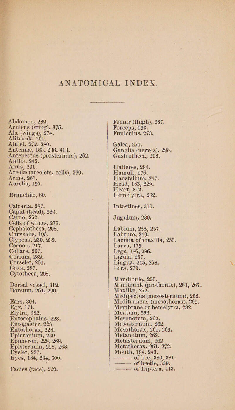 Abdomen, 289. Aculeus (sting), 375. Ale (wings), 274. Alitrunk, 261. Alulet, 272, 280. Antenne, 183, 238, 413. Antlia, 245. Anus, 291. Arms, 261. Aurelia, 195. Branchie, 80. Calcaria, 287. Caput (head), 229. Cardo, 252. Cells of wings, 279. Cephalotheca, 208. Chrysalis, 195. Clypeus, 230, 232. Cocoon, 217. Collare, 267. Corium, 282. Corselet, 261. Coxa, 287. Cytotheca, 208. Dorsal vessel, 312. Dorsum, 261, 290. Kars, 304. Egg, 171. Elytra, 282. Entocephalus, 228. Entogaster, 228. Entothorax, 228. Epicraninm, 230. Epimeron, 228, 268. Episternum, 228, 268. Eyelet, 237. Eyes, 184, 234, 300. Facies (face), 229. Femur (thigh),. 287. Forceps, 293. Funiculus, 273. Galea, 254. Ganglia (nerves), 296. Gastrotheca, 208. Halteres, 284. Hamuli, 276. Haustellum, 247. Head, 183, 229. Heart, 312. Hemelytra, 282. Tntestines, 310. Jugulum, 230. Labium, 255, 257. Labrum, 249. Lacinia of maxilla, 253. Larva, 179. Legs, 186, 286. Ligula, 257. Lingua, 245, 258. Lora, 230. Mandibule, 250. Manitrunk (prothorax), 261, 267. Maxille, 252. Medipectus (mesosternum), 262. Meditruncus (mesothorax), 269. Membrane of hemelytra, 282. Mentum, 256. Mesonotum, 262. Mesosternum, 262. Mesothorax, 261, 269. Metanotum, 262. Metasternum, 262. Metathorax, 261, 272. Mouth, 184, 243. ——— of bee, 380, 381. ——— of beetle, 339. ——— of Diptera, 413.