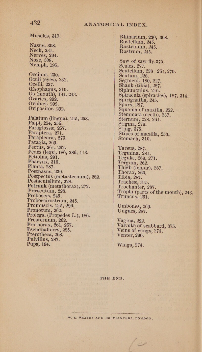 Muscles, 317. Rhinarium, 230, 308. Rostellum, 245. Nasus, 308. Rostrulum, 245. Neck, 231. Rostrum, 245. Nerves, 294. Nose, 308. Saw of saw-fly,375. Nymph, 195. Scales, 277. Scutellum, 228 261, 270. Occiput, 230. Scutum, 228. Oculi (eyes), 232. Segment, 180, 227. Ocelli, 237. Shank (tibia), 287. Cisophagus, 310. Siphunculus, 246. Os (mouth), 184, 243. Spiracula (spiracles), 187, 314. Ovaries, 292. Spirignatha, 245. Oviduct, 292. Spurs, 287. Ovipositor, 292. Squama of maxilla, 252. Stemmata (ocelli), 237. Palatum (lingua), 245, 258. Sternum, 228, 261. Palpi, 254, 256. Stigma, 279. Paraglosse, 257. Sting, 375. Paraptera, 271. Stipes of maxilla, 253. Parapleure, 273. Stomach, 310. Patagia, 269. Pectus, 261, 262. Tarsus, 287. Pedes (legs), 186, 286, 413. Tegmina, 281. Petiolus, 291. Tegule, 269, 271. Pharynx, 310. Tergum, 262. Planta, 287. Thigh (femur), 287. Postnasus, 230. Thorax, 260, Postpectus (metasternum), 262. Tibia, 287. Postscutellum, 228. Trachex, 315. Potrunk (metathorax), 272. Trochanter, 287. Prescutum, 228. Trophi (parts of the mouth), 243. Proboscis, 245. Truncus, 261. Proboscirostrum, 245. Promuscis, 245, 296. Umbones, 269. Pronotum, 262. Ungues, 287. Prolegs, (Propedes L.), 186. ‘ Prosternum, 262. . Vagina, 292. Prothorax, 261, 267. Valvule of scabbard, 375. Pseudhalteres, 285. Veins of wings, 274. Pterotheca, 208. Venter, 290. Pulvillus, 287. ; Pupa, 194. Wings, 274. THE END. W. L. GRAVES AND CO, PRINTERS, LONDON,