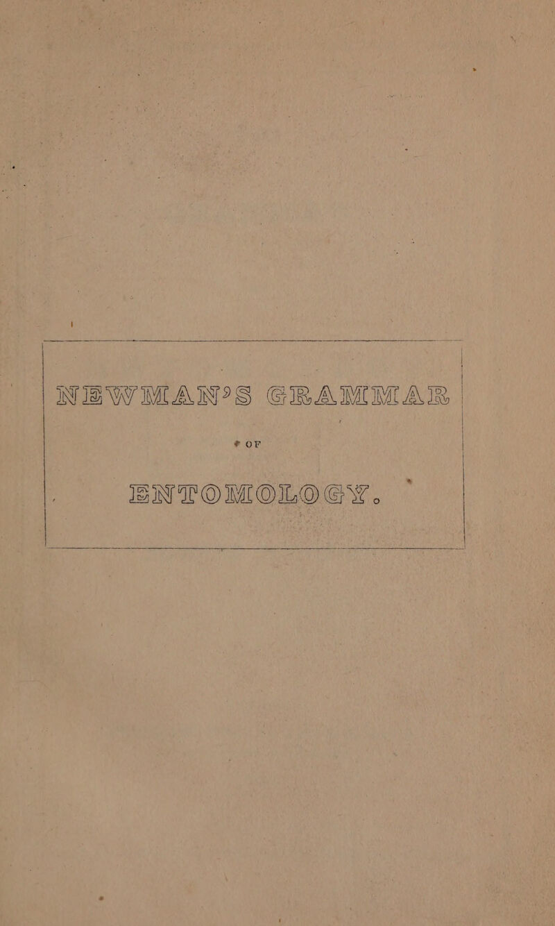 | NEWMAIWS GRAMMAR * or IW LOMOLOGY . eS