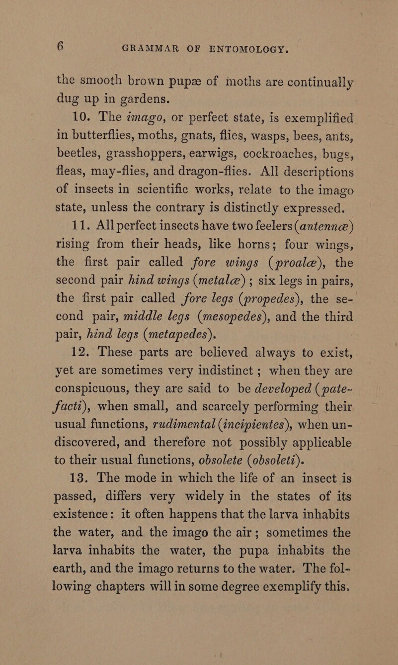 the smooth brown pupz of moths are continually dug up in gardens. 10. The cmago, or perfect state, is exemplified in butterflies, moths, gnats, flies, wasps, bees, ants, beetles, grasshoppers, earwigs, cockroaches, bugs, fleas, may-flies, and dragon-flies. All descriptions of insects in scientific works, relate to the imago state, unless the contrary is distinctly expressed. 11. All perfect insects have two feelers (antenne) rising from their heads, like horns; four wings, the first pair called fore wings (proale), the second pair hind wings (metale) ; six legs in pairs, the first pair called fore legs (propedes), the se- cond pair, middle legs (mesopedes), and the third pair, hind legs (metapedes). 12. These parts are believed always to exist, yet are sometimes very indistinct ; when they are conspicuous, they are said to be developed ( pate-~ facti), when small, and scarcely performing their usual functions, rudimental (incipientes), when un- discovered, and therefore not possibly applicable to their usual functions, obsolete (obsoleti). 13. The mode in which the life of an insect is passed, differs very widely in the states of its existence: it often happens that the larva inhabits the water, and the imago the air; sometimes the larva inhabits the water, the pupa inhabits the earth, and the imago returns to the water. The fol- lowing chapters will in some degree exemplify this.