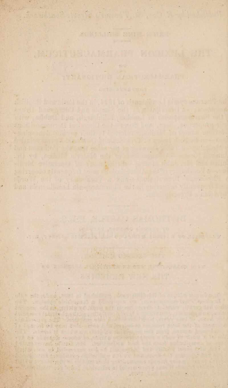 ee bay aoe $208 “in wT tise sh WEE ie er wey’ re ie Mads ———- 7 ee ee  * bane , akc et miata ~ bah write te ap * ex seni: -astiis catenins. ob my “atoeih fg oa é) Git oeore hee J