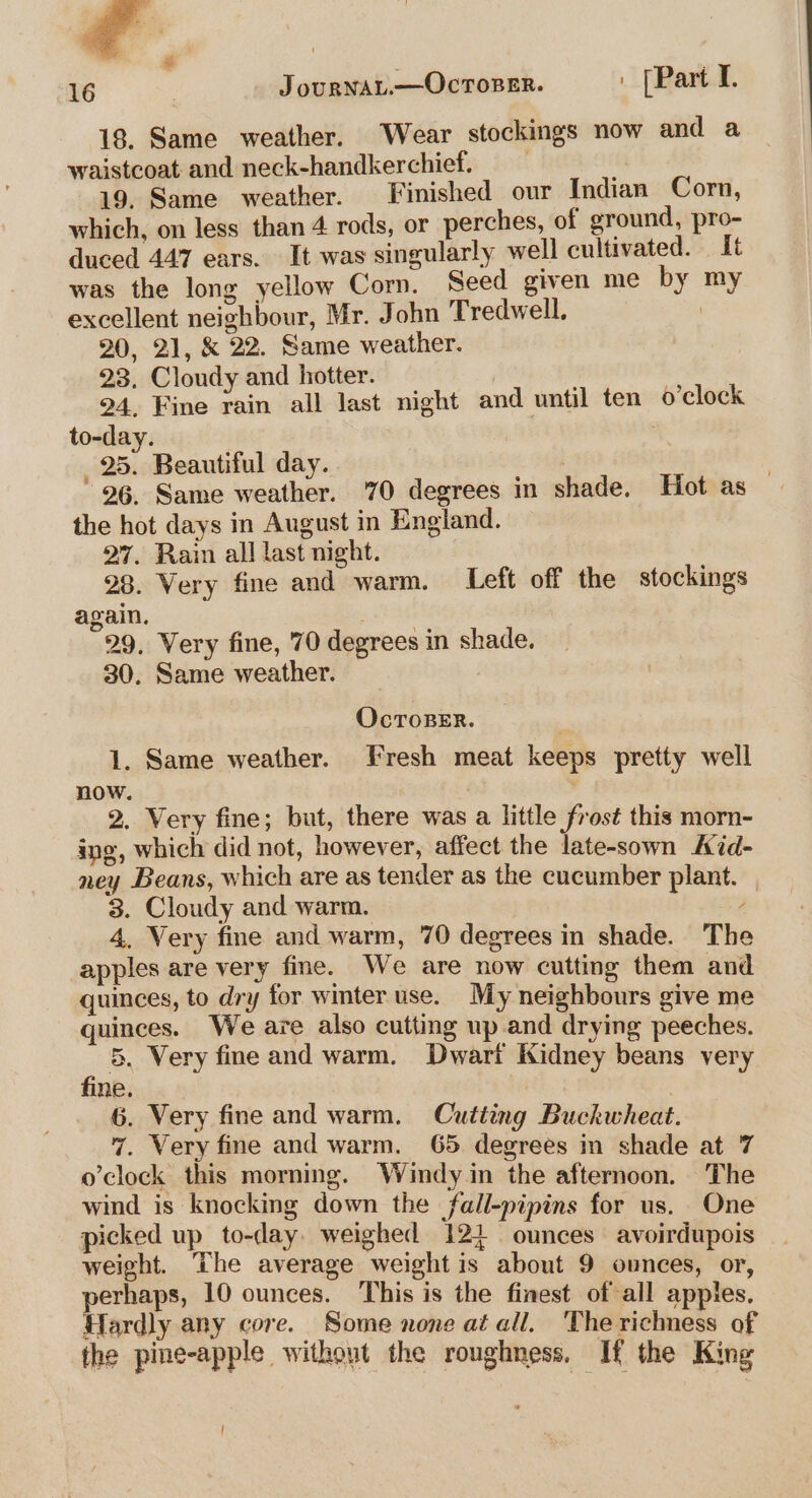 &lt;. 16 Journay.—Ocroser. | [Part I. 18. Same weather. Wear stockings now and a waistcoat and neck-handkerchief, 19. Same weather. Finished our Indian Corn, which, on less than 4 rods, or perches, of ground, pro- duced 447 ears. It was singularly well cultivated. It was the long yellow Corn. Seed given me by my excellent neighbour, Mr. John Tredwell. : 20, 21, &amp; 22. Same weather. 23. Cloudy and hotter. 24. Fine rain all last night and until ten o’clock to-day. | 25. Beautiful day. 926, Same weather. 70 degrees in shade. Hot as — the hot days in August in England. 27. Rain all last night. 28. Very fine and warm. Left off the stockings again. 29, Very fine, 70 degrees in shade. 30. Same weather. OcToBER. 1, Same weather. Fresh meat keeps pretty well now. | 2. Very fine; but, there was a little frost this morn- ing, which did not, however, affect the late-sown Aid- ney Beans, which are as tender as the cucumber plant. 3. Cloudy and warm. / 4, Very fine and warm, 70 degrees in shade. The apples are very fine. We are now cutting them and quinces, to dry for winter use. My neighbours give me guinces. We are also cutting up and drying peeches. 5, Very fine and warm. Dwarf Kidney beans very fine. | 6. Very fine and warm. Cutting Buckwheat. 7. Very fine and warm. 65 degrees in shade at 7 o'clock this morning. Windy in the afternoon. The wind is knocking down the fall-pipins for us. One picked up to-day weighed 12} ounces avoirdupois weight. The average weightis about 9 ounces, or, perhaps, 10 ounces. This is the finest of all apples. Hardly any core. Some none at all. The richness of the pine-apple without the roughness, If the King