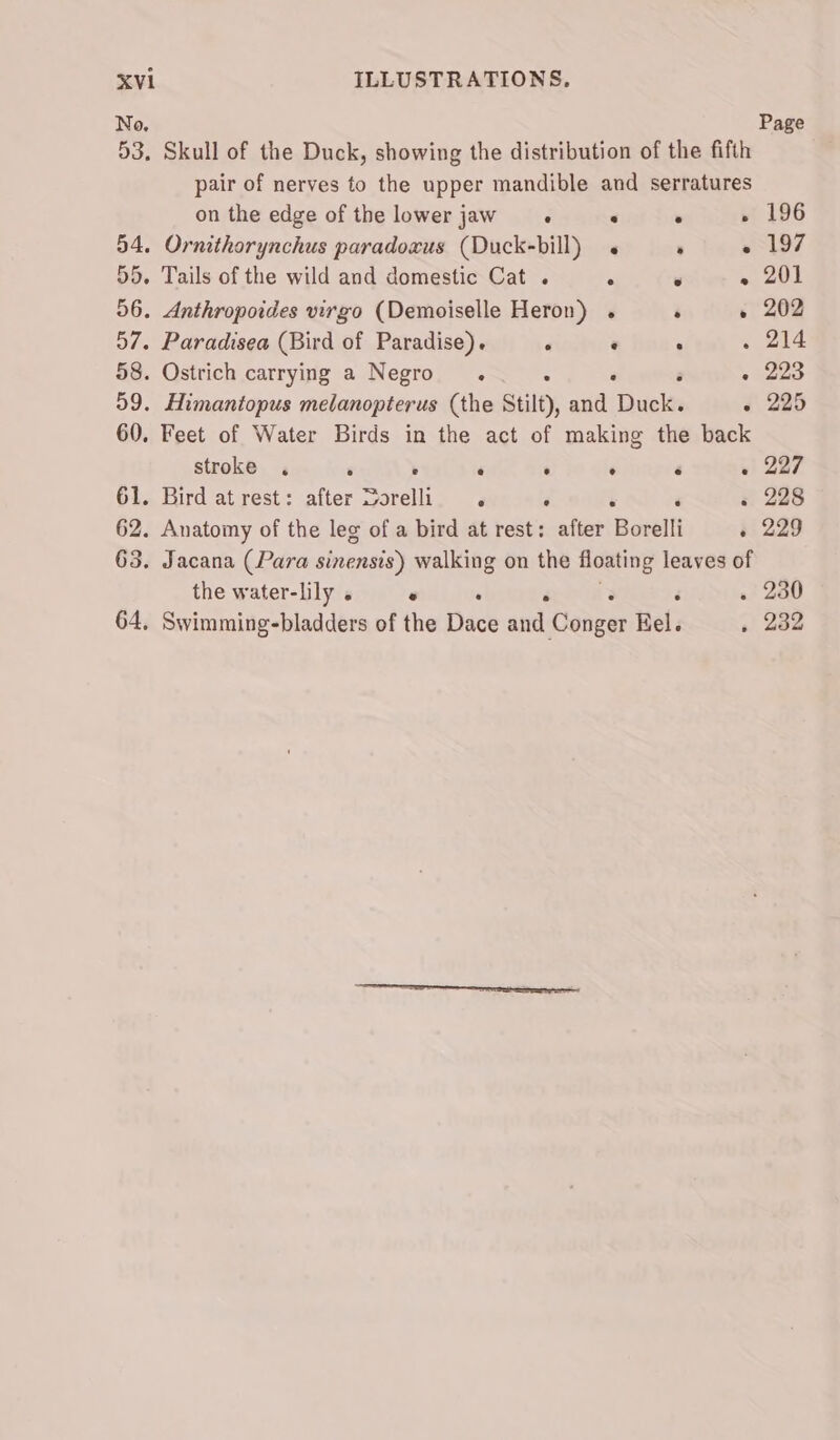 Page pair of nerves to the upper mandible and serratures on the edge of the lower jaw. ° ° » 196 95. Tails of the wild and domestic Cat . ° ° - 201 56. Anthropoides virgo (Demoiselle Heron) . . » 202 57. Paradisea (Bird of Paradise). ‘ ‘ : . 214 58. Ostrich carrying a Negro. : a - 223 59. Himantopus melanopterus (the Stilt), and Duck. « 225 60. Feet of Water Birds in the act of making the back stroke . , : : : : ‘ « 227 61. Bird atrest: after Sorelli . : . ‘ » 228 62. Anatomy of the leg of a bird at rest: after Borelli » 229 the water-lily . « F . 230