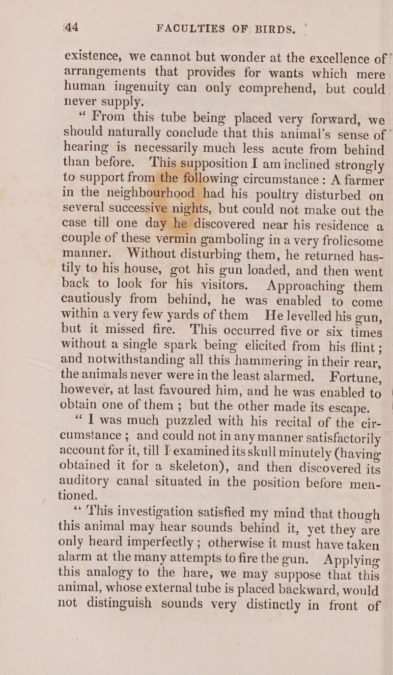 arrangements that provides for wants which mere human ingenuity can only comprehend, but could never supply. “From this tube being placed very forward, we hearing is necessarily much less acute from behind than before. This supposition I am inclined strongly to support ee a circumstance: A farmer in the neighbourhood had his poultry disturbed on several successive nights, but could not make out the case till one day he discovered near his residence a couple of these vermin gamboling in a very frolicsome manner. Without disturbing them, he returned has- tily to his house, got his gun loaded, and then went back to look for his visitors. Approaching them cautiously from behind, he was enabled to come within avery few yards of them He levelled his gun, but it missed fire. This occurred five or six times without a single spark being elicited from his flint ; and notwithstanding all this hammering in their rear, the animals never were in the least alarmed. Fortune, however, at last favoured him, and he was enabled to obtain one of them ; but the other made its escape. “Twas much puzzled with his recital of the cir- cumstance ; and could not in any manner satisfactorily account for it, till I examined its skull minutely (having obtained it for a skeleton), and then discovered its auditory canal situated in the position before men- tioned. “This investigation satisfied my mind that though this animal may hear sounds behind it, yet they are only heard imperfectly ; otherwise it must have taken alarm at the many attempts to fire the gun. Applying this analogy to the hare, we may suppose that this animal, whose external tube is placed backward, would not distinguish sounds very distinctly in front of