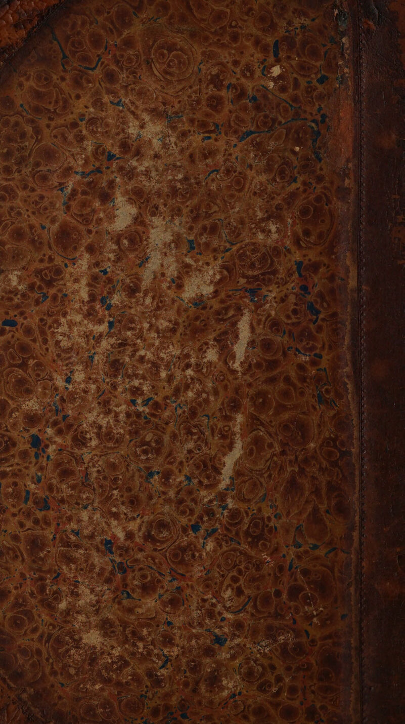 No text description is available for this image