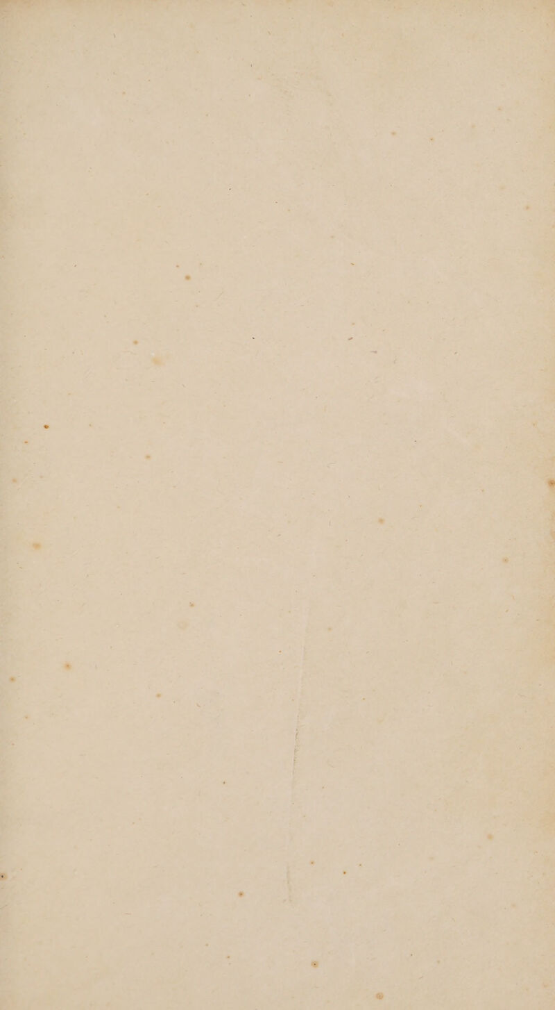 . s 4 : ot a + Ne tt tence oat a, Gs Misa -