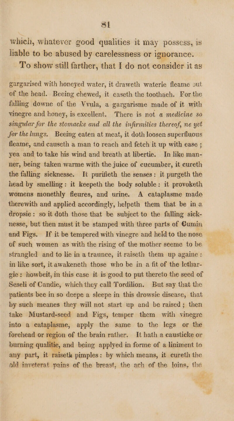 which, whatever good qualities it may possess, is liable to be abused by carelessness or ignorance. To show still farther, that I do not consider it as gargarised with honeyed water, it draweth waterie fleame out of the head. Beeing chewed, it caseth the toothach. For the falling downe of the Vvula, a gargarisme made of it with vinegre and honey, is excellent. There is not a medicine so singular for the stomacke and all the infirmities thereof, ne yet Jor thehings. Beeing eaten at meat, it doth loosen superfluous fleame, and causeth a man to reach and fetch it up with ease ; yea and to take his wind and breath at libertie. In like man- ner, being taken warme with the juice of cucumber, it cureth the falling sicknesse. It purifieth the senses: it purgeth the head by smelling: it keepeth the body soluble: it proveketh womens monethly fleures, and urine. A cataplasme mado therewith and applied accordingly, helpeth them that be in a dropsie: so it doth those that be subject to the falling sick- nesse, but then must it be stamped with three parts of €umin and Figs. If it be tempered with vinegre and held to the nose strangled and to lie in a traunce, it raiseth them up againe : in like sort, it awakeneth those who be in a fit of the lethar- vie: howbeit, in this case it is good to put thereto the seed of Seseli of Candie, which they call Tordilion. But say that the patients bee in so deepe a sleepe in this drowsie disease, that by such meanes they will not start up and be raised; then take Mustard-seed and Figs, temper them with vinegre into a cataplasme, apply the same to the legs or the forehead or region of the brain rather, It hath a causticke or burning qualitie, and being applyed in forme of a liniment to any part, it raiseth pimples: by which means, it cureth the old inveterat pains of the breast, the ach of the loins, the ie Os