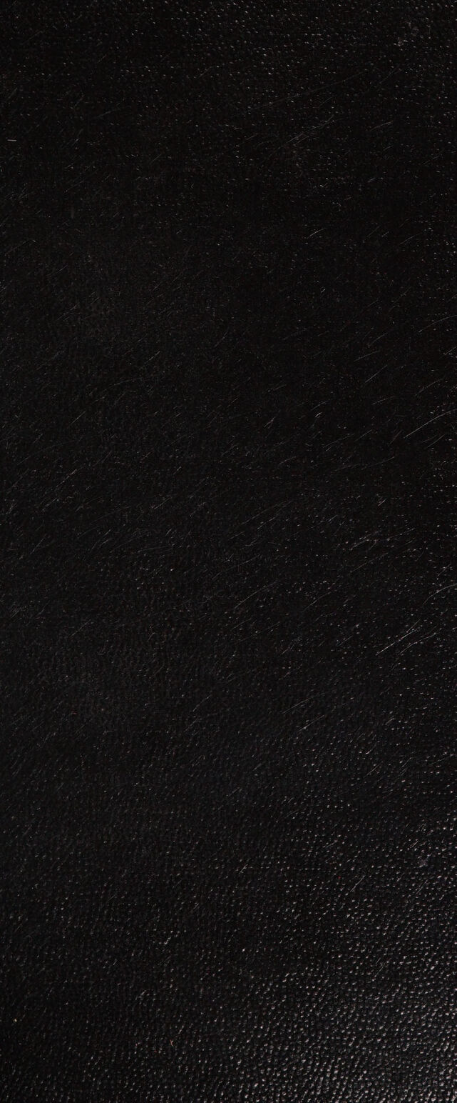 digitised image 1