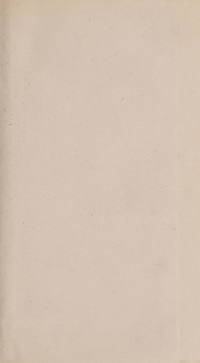 digitised image 3