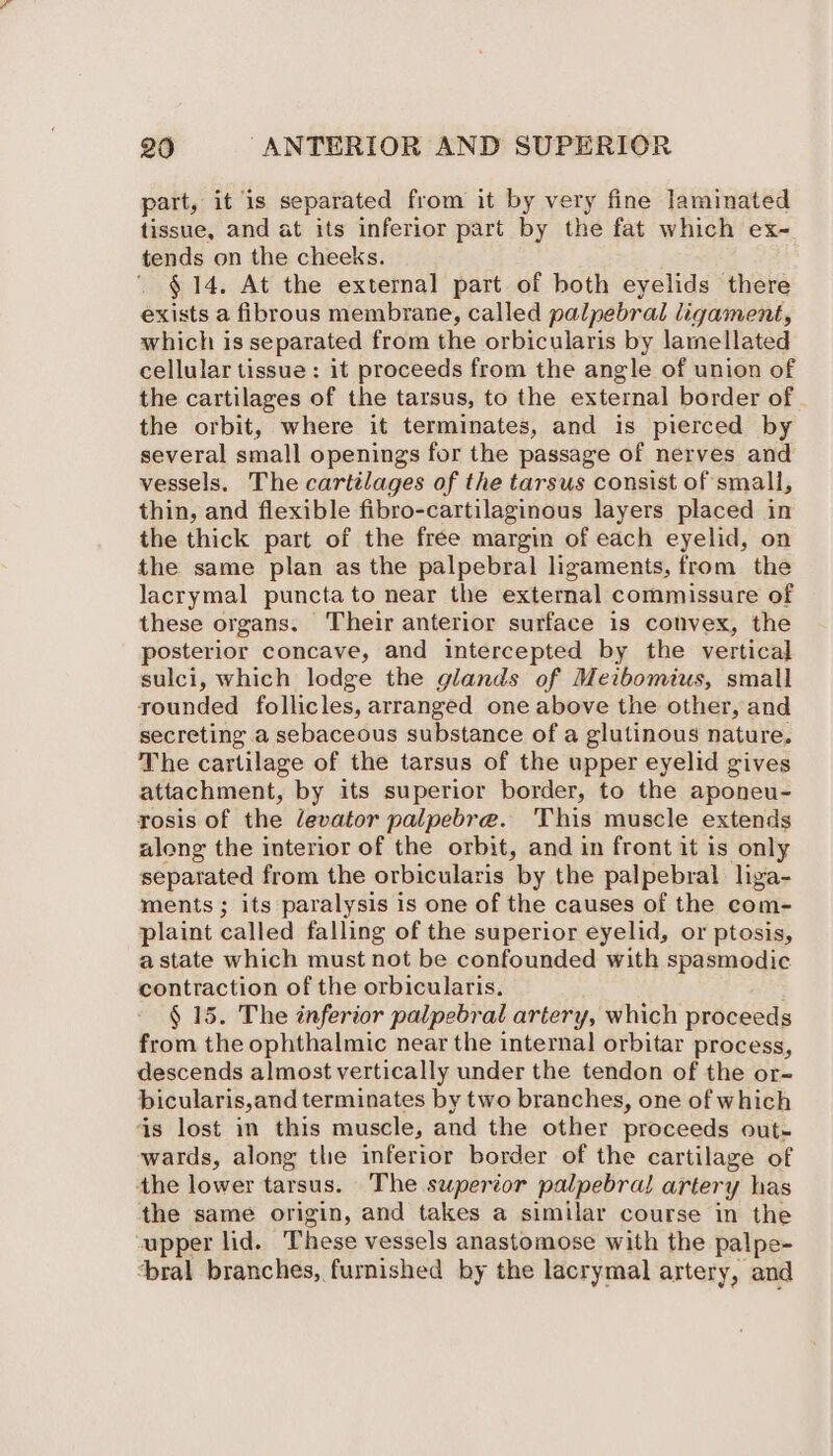 part, it is separated from it by very fine laminated tissue, and at its inferior part by the fat which ex- tends on the cheeks. § 14. At the external part of both eyelids there exists a fibrous membrane, called palpebral ligament, which is separated from the orbicularis by lamellated cellular tissue: it proceeds from the angle of union of the cartilages of the tarsus, to the external border of - the orbit, where it terminates, and is pierced by several small openings for the passage of nerves and vessels. The cartilages of the tarsus consist of small, thin, and flexible fibro-cartilaginous layers placed in the thick part of the free margin of each eyelid, on the same plan as the palpebral ligaments, from the lacrymal punctato near the external commissure of these organs. Their anterior surface is convex, the posterior concave, and intercepted by the vertical sulci, which lodge the glands of Meibomius, small rounded follicles, arranged one above the other, and secreting a sebaceous substance of a glutinous nature. The cartilage of the tarsus of the upper eyelid gives attachment, by its superior border, to the aponeu- rosis of the levator palpebre. This muscle extends along the interior of the orbit, and in front it is only separated from the orbicularis ‘by the palpebral liga- ments; its paralysis is one of the causes of the com- plaint called falling of the superior eyelid, or ptosis, astate which must not be confounded with spasmodic contraction of the orbicularis. : § 15. The inferior palpebral artery, which proceeds from the ophthalmic near the internal orbitar process, descends almost vertically under the tendon of the or- bicularis,and terminates by two branches, one of which is lost in this muscle, and the other proceeds out- wards, along the inferior border of the cartilage of the lower tarsus. The superior palpebral artery has the same origin, and takes a similar course in the upper lid. These vessels anastomose with the palpe- ‘bral branches, furnished by the lacrymal artery, and