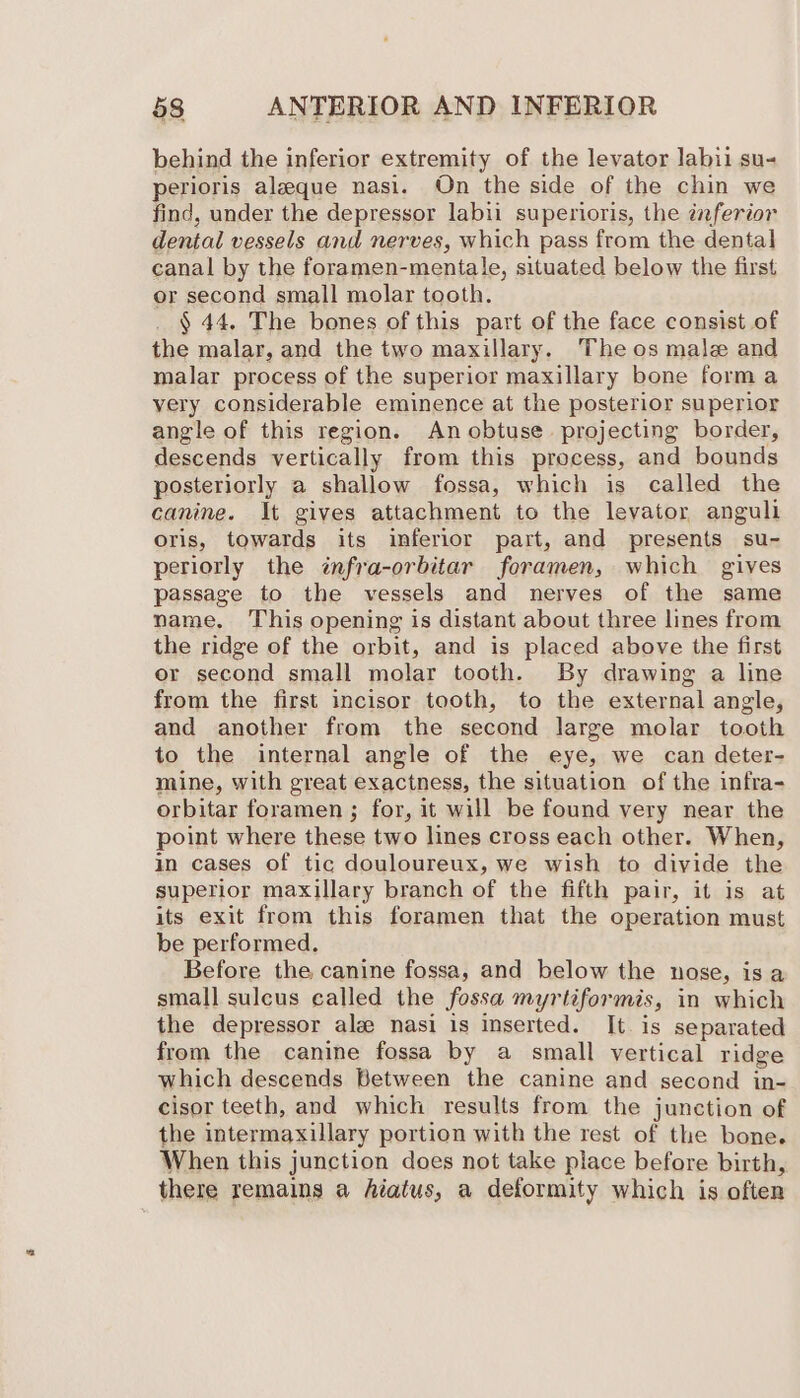 behind the inferior extremity of the levator labii su- perioris aleeque nasi. On the side of the chin we find, under the depressor labii superioris, the ¢nferior dental vessels and nerves, which pass from the dental canal by the foramen-mentale, situated below the first or second small molar tooth. _§ 44. The bones of this part of the face consist of the malar, and the two maxillary. Theos male and malar process of the superior maxillary bone forma very considerable eminence at the posterior superior angle of this region. Anobtuse. projecting border, descends vertically from this process, and bounds posteriorly a shallow fossa, which is called the canine. It gives attachment to the levator angull oris, towards its inferior part, and presents su- periorly the infra-orbitar foramen, which gives passage to the vessels and nerves of the same name. This opening is distant about three lines from the ridge of the orbit, and is placed above the first or second small molar tooth. By drawing a line from the first incisor tooth, to the external angle, and another from the second large molar tooth to the internal angle of the eye, we can deter- mine, with great exactness, the situation of the infra- orbitar foramen ; for, it will be found very near the point where these two lines cross each other. When, in cases of tic douloureux, we wish to divide the superior maxillary branch of the fifth pair, it is at its exit from this foramen that the operation must be performed. Before the canine fossa, and below the nose, isa small sulcus called the fossa myrtiformis, in which the depressor ale nasi is inserted. It. is separated from the canine fossa by a small vertical ridge which descends Between the canine and second in- cisor teeth, and which results from the junction of the intermaxillary portion with the rest of the bone. When this junction does not take place before birth, there remains a hiatus, a deformity which is often