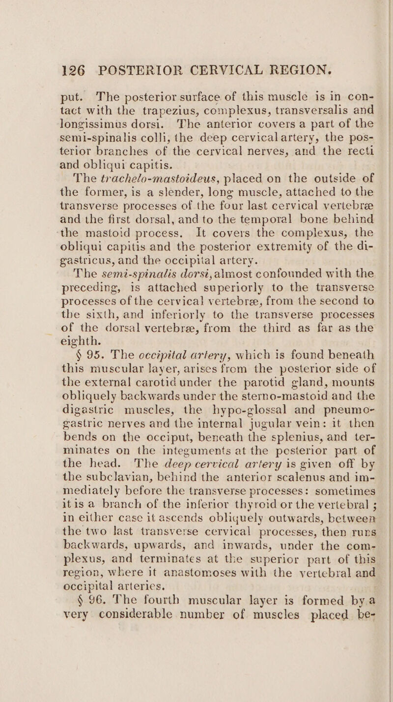 put. The posterior surface of this muscle is in con- tact with the trapezius, co: mplexus, transversalis and longissimus dorsi. The anterior covers a part of the semi-spinalis colli, the deep cervicalartery, the pos- terior branches of the cervical nerves, and the recti and obliqui capitis. The trachelo-mastoideus, placed on the outside of the former, is a slender, long muscle, attached to the transverse processes of the four last cervical vertebre and the first dorsal, and to the temporal bone behind the mastoid process. It covers the complexus, the obliqui capitis and the posterior extremity of the di- gastricus, and the occipital artery. The semé-spinalis dorsi,almost confounded with the preceding, 1s attached superiorly to the transverse processes of the cervical vertebre, from the second to the sixth, and inferiorly to the transverse processes of the dorsal vertebree, from the third as far as the eighth. § 95. The occipital artery, which is found beneath this muscular layer, arises from the posterior side of the external carotid under the parotid gland, mounts obliquely backwards under the sterno-mastoid and the digastric muscles, the hypo-glossal and pneumo- gastric nerves and the internal jugular vein: it then bends on the occiput, beneath the splenius, and ter- minates on the integuments at the posterior part of the head. The deep cervical artery is given off by the subclavian, behind the anterior scalenus and im- mediately before the transverse processes: sometimes itis a branch of the inferior thyroid or the vertebral ; in either case it ascends obliquely outwards, between the two last transverse cervical processes, then runs backwards, upwards, and inwards, under the com- plexus, and terminates at the superior part of this region, where it anastomoses with the vertebral and occipital arteries. § 96. The fourth muscular layer is formed bra very considerable number of muscles placed be-
