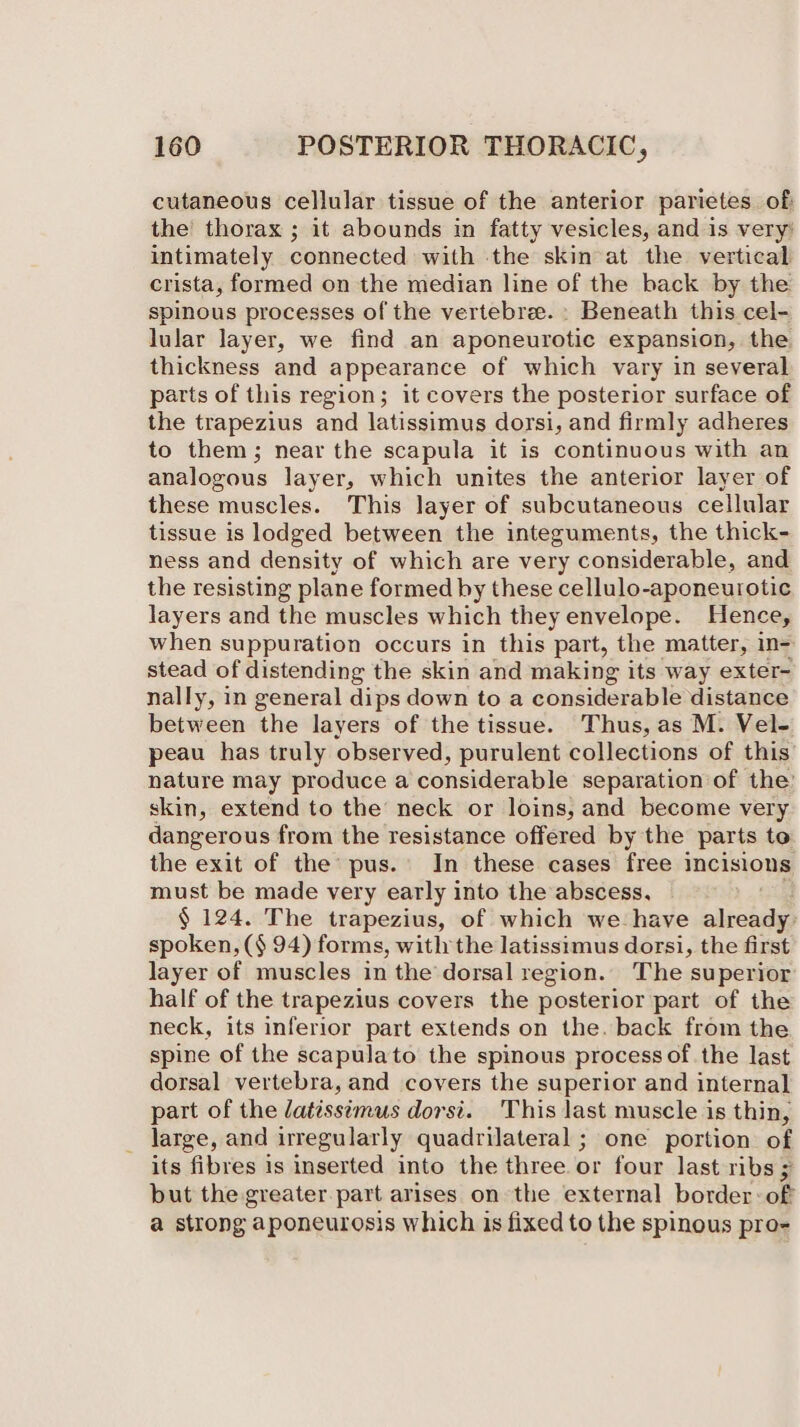 cutaneous cellular tissue of the anterior parietes of the’ thorax ; it abounds in fatty vesicles, and 1s very’ intimately connected with the skin at the vertical crista, formed on the median line of the back by the spinous processes of the vertebree. » Beneath this cel- lular layer, we find an aponeurotic expansion, the thickness and appearance of which vary in several parts of this region; it covers the posterior surface of the trapezius and latissimus dorsi, and firmly adheres to them; near the scapula it is continuous with an analogous layer, which unites the anterior layer of these muscles. This layer of subcutaneous cellular tissue is lodged between the integuments, the thick- ness and density of which are very considerable, and the resisting plane formed by these cellulo-aponeurotic layers and the muscles which they envelope. Hence, when suppuration occurs in this part, the matter, n= stead of distending the skin and making its way exter- nally, in general dips down to a considerable distance between the layers of the tissue. Thus, as M. Vel- peau has truly observed, purulent collections of this nature may produce a considerable separation of the: skin, extend to the neck or loins, and become very dangerous from the resistance offered by the parts to the exit of the pus.’ In these cases free incisions must be made very early into the abscess. § 124. The trapezius, of which we: have alone spoken, (§ 94) forms, with the latissimus dorsi, the first layer of muscles in the dorsal region. The superior half of the trapezius covers the posterior part of the neck, its inferior part extends on the. back from the spine of the scapulato the spinous process of the last dorsal vertebra, and covers the superior and internal part of the datisstmus dorsi. This last muscle is thin, large, and irregularly quadrilateral ; one portion of its fibres 1s inserted into the three or four last ribs ; but the greater part arises on the external border:-of a strong i aponeurosis which is fixed to the spinous pro-