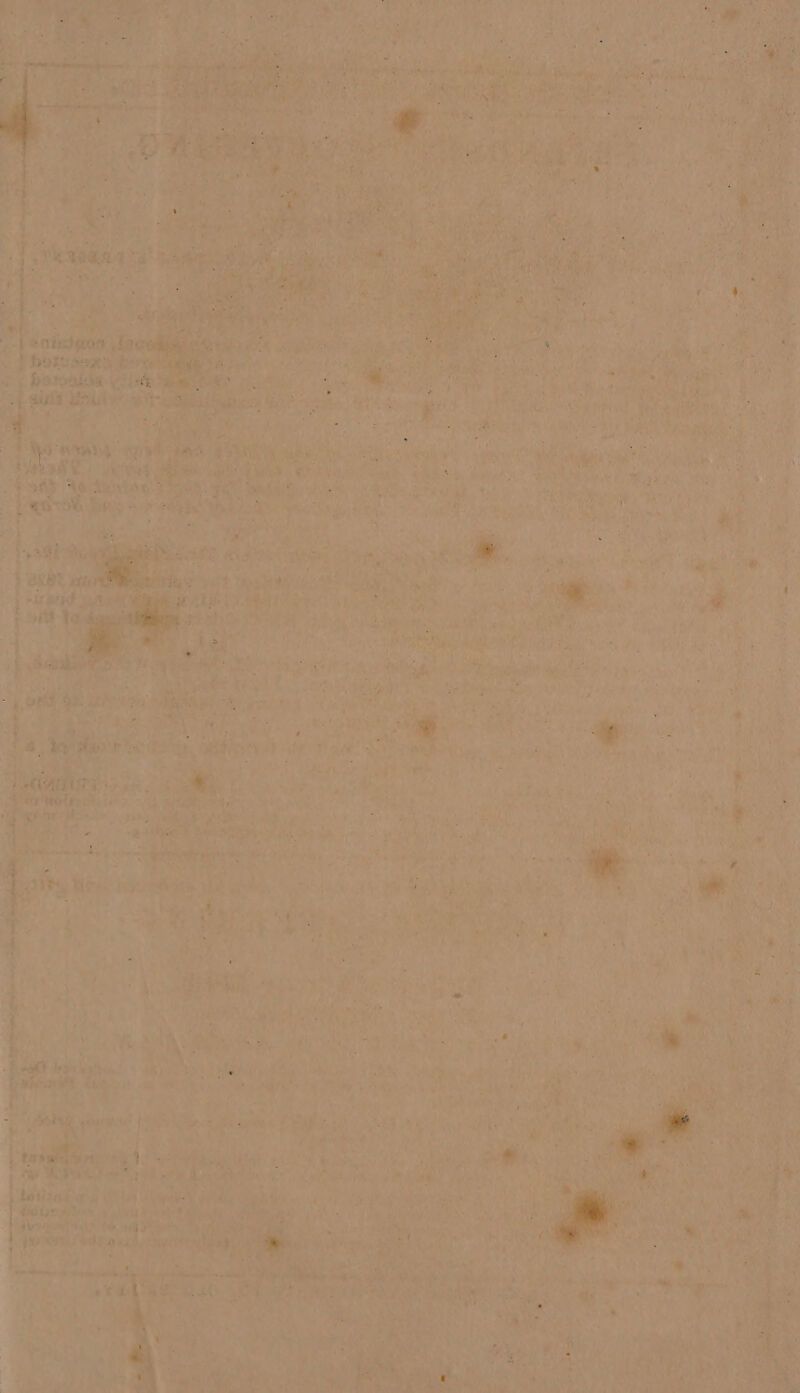 * ‘ } / ee, ts Ke 5 Oe i STERN ’ ; ‘ ahaa: eis * Ms ele