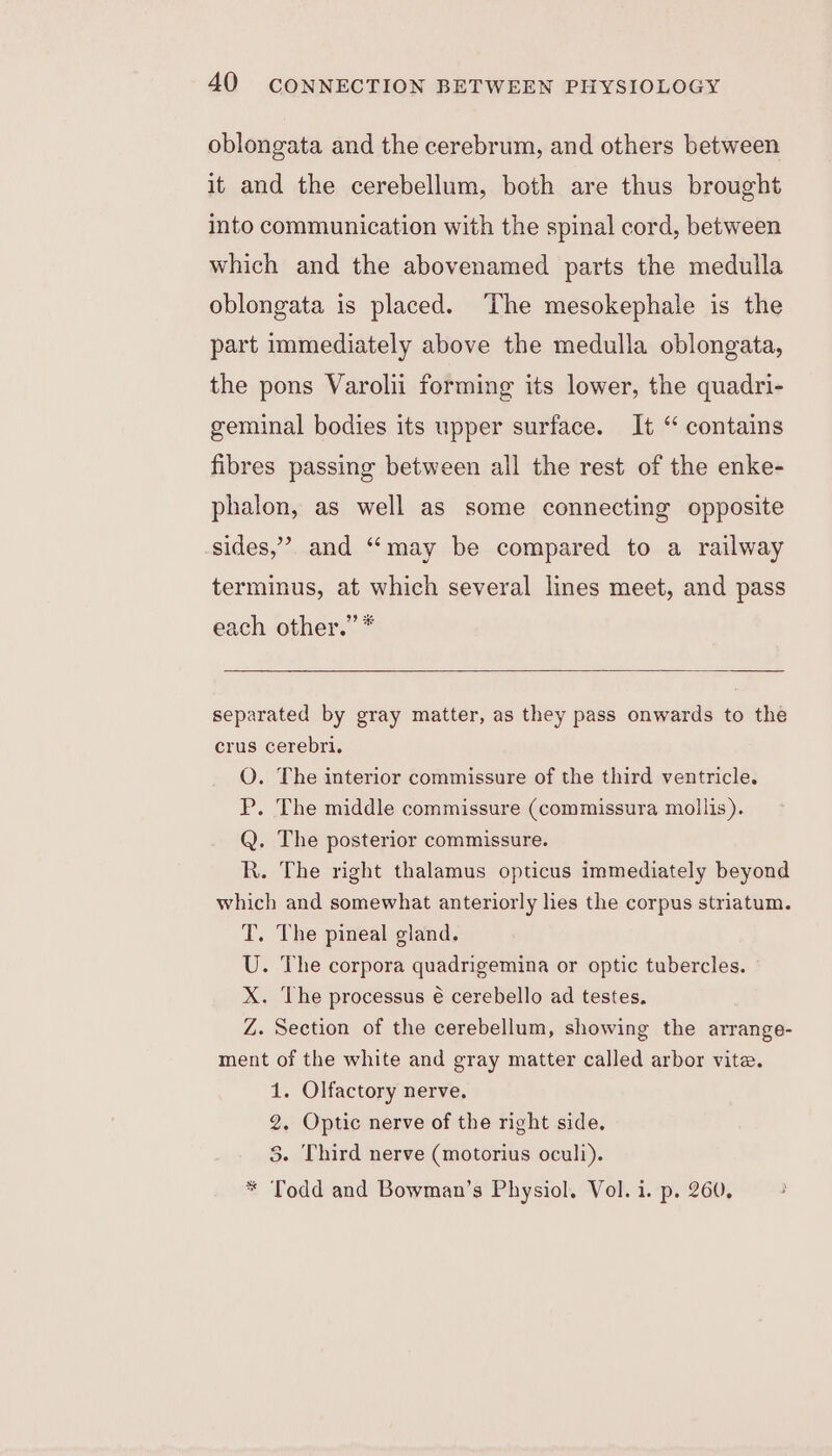 oblongata and the cerebrum, and others between it and the cerebellum, both are thus brought into communication with the spinal cord, between which and the abovenamed parts the medulla oblongata is placed. The mesokephale is the part immediately above the medulla oblongata, the pons Varolii forming its lower, the quadri- geminal bodies its upper surface. It “ contains fibres passing between all the rest of the enke- phalon, as well as some connecting opposite sides,’ and “may be compared to a railway terminus, at which several lines meet, and pass each other.” * separated by gray matter, as they pass onwards to the crus cerebri. O. The interior commissure of the third ventricle. P. The middle commissure (commissura mollis). Q. The posterior commissure. R. The right thalamus opticus immediately beyond which and somewhat anteriorly lies the corpus striatum. T. The pineal gland. U. The corpora quadrigemina or optic tubercles. X. The processus é€ cerebello ad testes. Z. Section of the cerebellum, showing the arrange- ment of the white and gray matter called arbor vite. 1. Olfactory nerve. 2. Optic nerve of the right side. 3. Third nerve (motorius oculi).