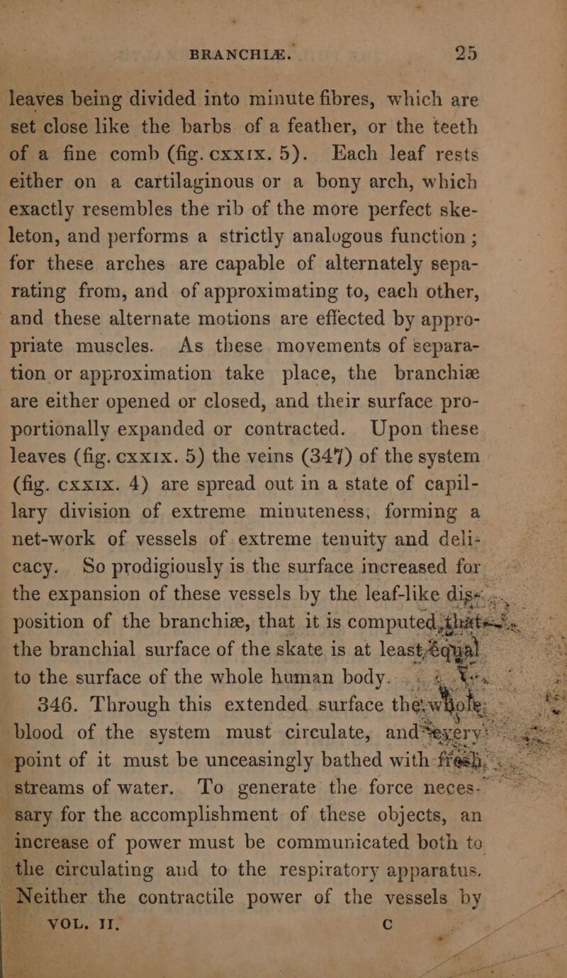 leaves being divided into minute fibres, which are set close like the barbs. of a feather, or the teeth of a fine comb (fig.cxxrx. 5). Hach leaf rests either on a cartilaginous or a bony arch, which exactly resembles the rib of the more perfect ske- leton, and performs a strictly analogous function ; for these arches are capable of alternately sepa- rating from, and of approximating to, each other, and these alternate motions are effected by appro- priate muscles. As these movements of separa- tion or approximation take place, the branchiz are either opened or closed, and their surface pro- portionally expanded or contracted. Upon these leaves (fig. cxxix. 5) the veins (3417) of the system (fig. cxxix. 4) are spread out in a state of capil- lary division of extreme minuteness, forming a net-work of vessels of extreme tenuity and deli- cacy. So prodigiously is the surface increased for the expansion of these vessels by the leaf-like digs: .. Saar tad s position of the branchiz, that it is computed, thates!s. bere the branchial surface of the skate is at least&amp;qu: ae a to the surface of the whole human body... 4%, 3 346. Through this extended surface necwtighe ae, 2 blood of the system must circulate, and“exery point of it must be unceasingly bathed with feeb, streams of water. To generate the force neces. © ~~ “sary for the accomplishment of these objects, an increase of power must be communicated both to _the circulating aud to the respiratory apparatus. Neither the contractile power of the vessels by ys. - VOL, I, G eS re \