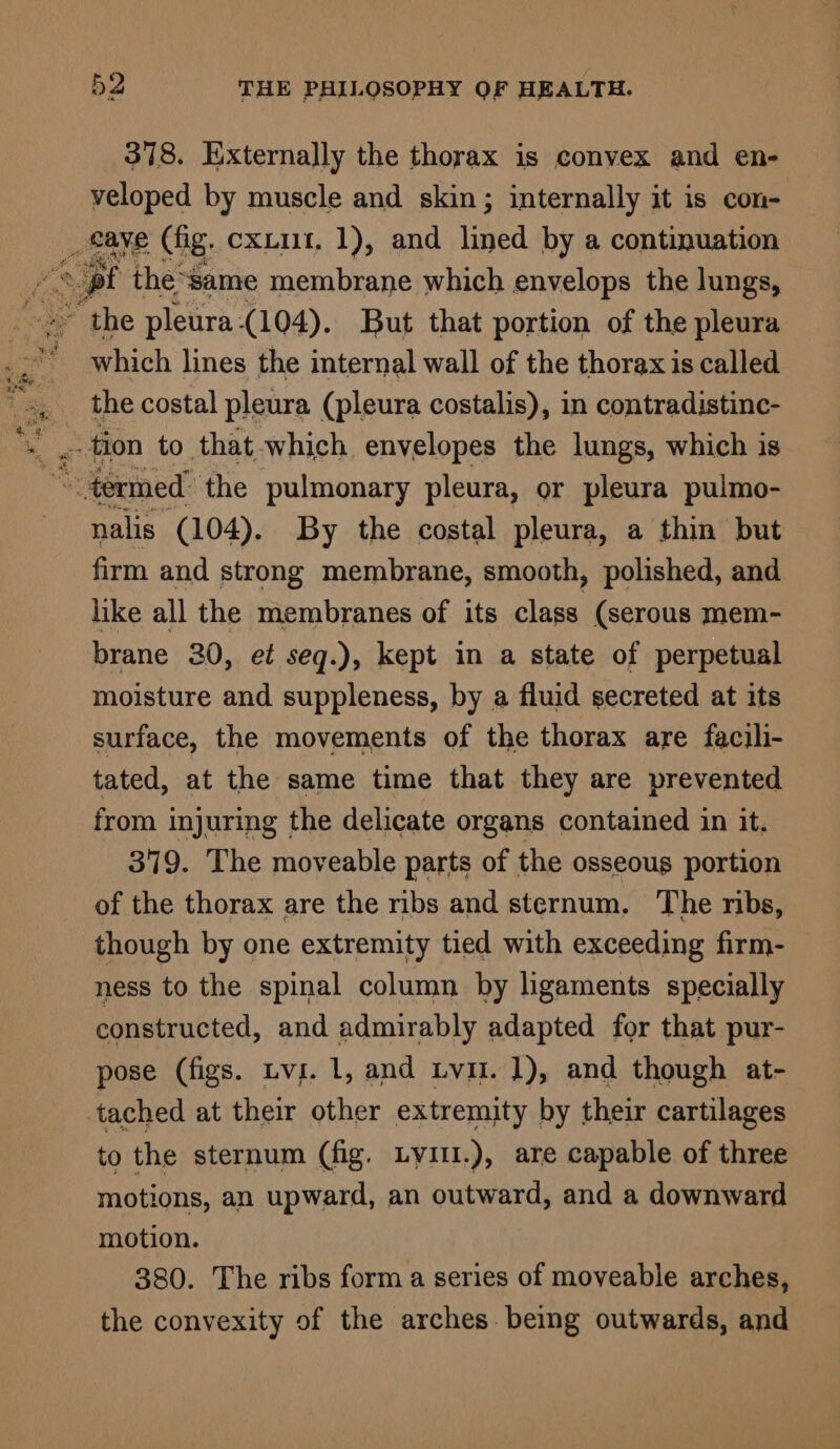 378. Externally the thorax is convex and en- veloped by muscle and skin; internally it is con- _ saye (fig. cxLiit., 1), and lined by a continuation a the pleura-(104). But that portion of the pleura * which lines the internal wall of the thorax is called the costal pleura (pleura costalis), in contradistinc- “termed the pulmonary pleura, or pleura pulmo- nalis (104). By the costal pleura, a thin but firm and strong membrane, smooth, polished, and like all the membranes of its class (serous mem- brane 30, et seq.), kept in a state of perpetual moisture and suppleness, by a fluid secreted at its surface, the movements of the thorax are facili- tated, at the same time that they are prevented from injuring the delicate organs contained in it. 379. The moveable parts of the osseous portion of the thorax are the ribs and sternum. The ribs, though by one extremity tied with exceeding firm- ness to the spinal column by ligaments specially constructed, and admirably adapted for that pur- pose (figs. Lvs. 1, and Lvit. 1), and though at- tached at their other extremity by their cartilages to the sternum (fig. Lyiu.), are capable of three motions, an upward, an outward, and a downward motion. 380. The ribs form a series of moveable arches, the convexity of the arches being outwards, and