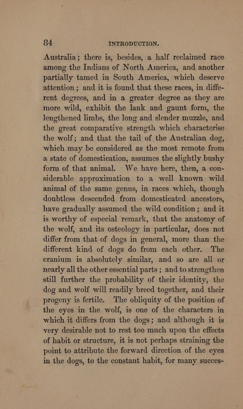 Australia; there is, besides, a half reclaimed race among the Indians of North America, and another partially tamed in South America, which deserve attention ; and it is found that these races, in diffe- rent degrees, and in a greater degree as they are more wild, exhibit the lank and gaunt form, the lengthened limbs, the long and slender muzzle, and the great comparative strength which characterise the wolf; and that the tail of the Australian dog, which may be considered as the most remote from a state of domestication, assumes the slightly bushy form of that animal. We have here, then, a con- siderable approximation to a well known wild animal of the same genus, in races which, though doubtless descended from domesticated ancestors, have gradually assumed the wild condition ; and it is worthy of especial remark, that the anatomy of the wolf, and its osteology im particular, does not differ from that of dogs in general, more than the different kind of dogs do from each other. The cranium is absolutely similar, and so are all or nearly all the other essential parts ; and to strengthen still further the probability of their identity, the dog and wolf will readily breed together, and their progeny is fertile. The obliquity of the position of the eyes in the wolf, is one of the characters in which it differs from the dogs; and although it is very desirable not to rest too much upon the effects of habit or structure, it is not perhaps straining the point to attribute the forward direction of the eyes in the dogs, to the constant habit, for many succes-