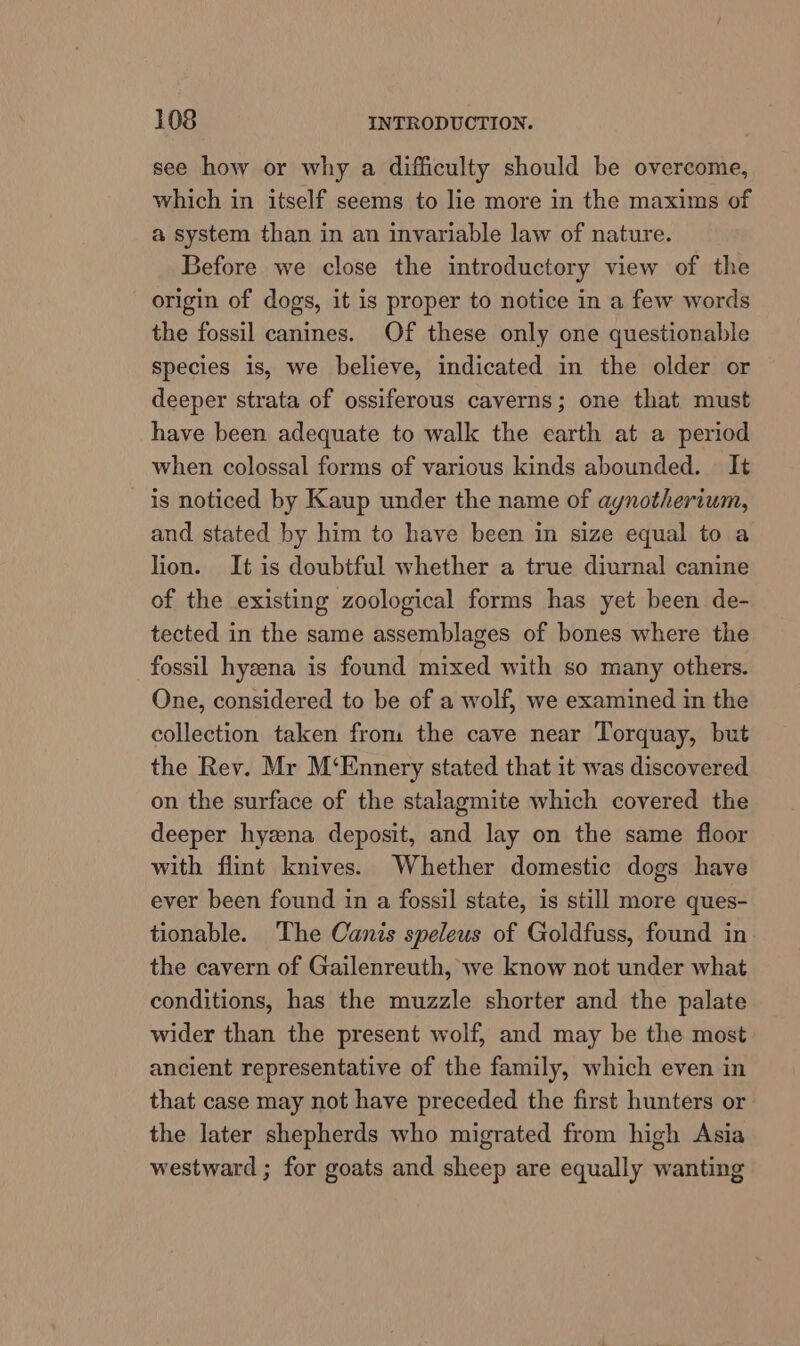 see how or why a difficulty should be overcome, which in itself seems to lie more in the maxims of a system than in an invariable law of nature. Before we close the introductory view of the origin of dogs, it is proper to notice in a few words the fossil canines. Of these only one questionable Species 1s, we believe, indicated in the older or deeper strata of ossiferous caverns; one that must have been adequate to walk the earth at a period when colossal forms of various kinds abounded. It is noticed by Kaup under the name of aynotherium, and stated by him to have been in size equal to a lion. It is doubtful whether a true diurnal canine of the existing zoological forms has yet been de- tected in the same assemblages of bones where the fossil hyena is found mixed with so many others. One, considered to be of a wolf, we examined in the collection taken from the cave near Torquay, but the Rev. Mr M‘Ennery stated that it was discovered on the surface of the stalagmite which covered the deeper hyzena deposit, and lay on the same floor with flint knives. Whether domestic dogs have ever been found in a fossil state, is still more ques- tionable. The Canis speleus of Goldfuss, found in the cavern of Gailenreuth, we know not under what conditions, has the muzzle shorter and the palate wider than the present wolf, and may be the most ancient representative of the family, which even in that case may not have preceded the first hunters or the later shepherds who migrated from high Asia westward ; for goats and sheep are equally wanting