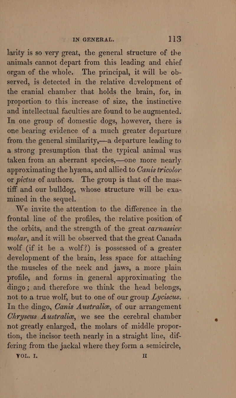 larity is so very great, the general structure of the animals cannot depart from this leading and chief organ of the whole. The principal, it will be ob- served, is detected in the relative development of the cranial chamber that holds the brain, for, in proportion to this increase of size, the instinctive and intellectual faculties are found to be augmented. In one group of domestic dogs, however, there is one bearing evidence of a much greater departure from the general similarity,—a departure leading to a strong presumption that the typical animal was taken from an aberrant species,—one more nearly approximating the hyzena, and allied to Canis tricolor or pictus of authors. The group is that of the mas- tiff and our bulldog, whose structure will be exa- mined in the sequel. We invite the attention to the difference in the frontal line of the profiles, the relative position of the orbits, and the strength of the great carnassier molar, and it will be observed that the great Canada wolf (if it be a wolf?) is possessed of a greater development of the brain, less space for attaching the muscles of the neck and jaws, a more plain profile, and forms in general approximating the dingo; and therefore we think the head belongs, not to a true wolf, but to one of our group Lyciscus. In the dingo, Canis Australiw, of our arrangement Chryseus Australiw, we see the cerebral chamber not greatly enlarged, the molars of middle propor- tion, the incisor teeth nearly in a straight line, dif- fering from the jackal where they form a semicircle,