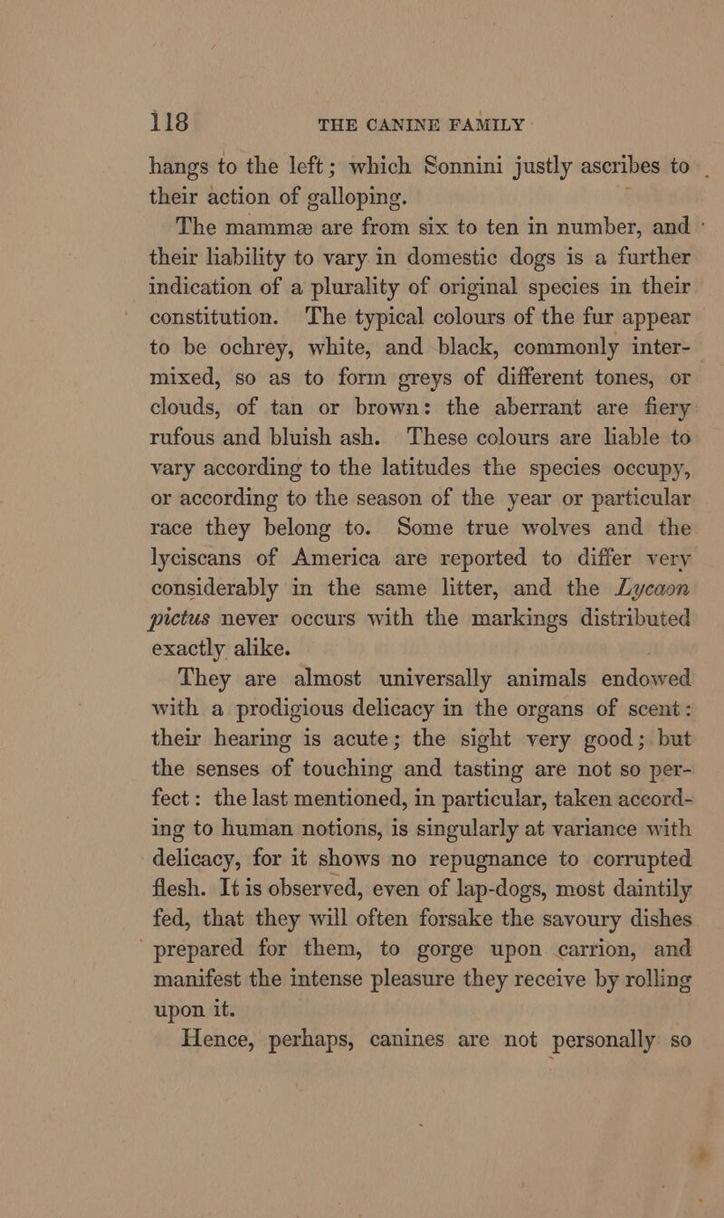 hangs to the left; which Sonnini justly ascribes to. their action of galloping. The mammez are from six to ten in number, and ° their liability to vary in domestic dogs is a further indication of a plurality of original species in their constitution. The typical colours of the fur appear to be ochrey, white, and black, commonly inter- mixed, so as to form greys of different tones, or clouds, of tan or brown: the aberrant are fiery: rufous and bluish ash. These colours are lable to vary according to the latitudes the species occupy, or according to the season of the year or particular race they belong to. Some true wolves and the lyciscans of America are reported to differ very considerably in the same litter, and the Lycaon putus never occurs with the markings distributed exactly alike. They are almost universally animals bidopeld with a prodigious delicacy in the organs of scent: their hearing is acute; the sight very good; but the senses of touching and tasting are not so per- fect: the last mentioned, in particular, taken accord- ing to human notions, is singularly at variance with delicacy, for it shows no repugnance to corrupted flesh. It is observed, even of lap-dogs, most daintily fed, that they will often forsake the savoury dishes prepared for them, to gorge upon carrion, and manifest the intense pleasure they receive by rolling upon it. Hence, perhaps, canines are not personally so