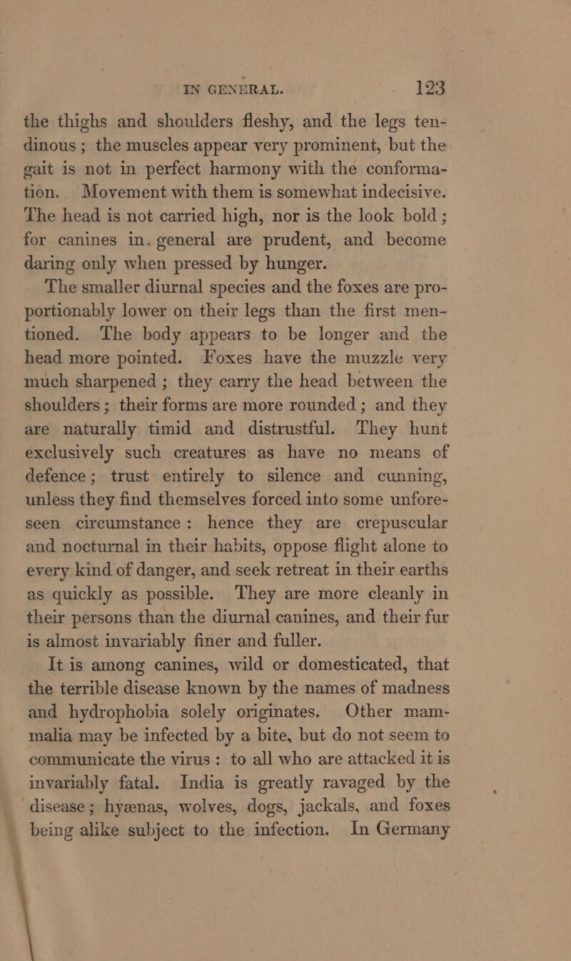 IN GENERAL. ~ . 3em the thighs and shoulders fleshy, and the legs ten- dinous ; the muscles appear very prominent, but the gait is not in perfect harmony with the conforma- tion. Movement with them is somewhat indecisive. The head is not carried high, nor is the look bold ; for canines in. general are prudent, and become daring only when pressed by hunger. The smaller diurnal species and the foxes are pro- portionably lower on their legs than the first men- tioned. The body appears to be longer and the head more pointed. Foxes have the muzzle very much sharpened ; they carry the head between the shoulders ; their forms are more rounded ; and they are naturally timid and distrustful. They hunt exclusively such creatures as have no means of defence; trust entirely to silence and cunning, unless they find themselves forced into some unfore- seen circumstance: hence they are crepuscular and nocturnal in their habits, oppose flight alone to every kind of danger, and seek retreat in their earths as quickly as possible. ‘They are more cleanly in their persons than the diurnal canines, and their fur is almost invariably finer and fuller. It is among canines, wild or domesticated, that the terrible disease known by the names of madness and hydrophobia solely originates. Other mam- malia may be infected by a bite, but do not seem to communicate the virus: to all who are attacked it is invariably fatal. India is greatly ravaged by the disease ; hyzenas, wolves, dogs, jackals, and foxes being alike subject to the infection. In Germany