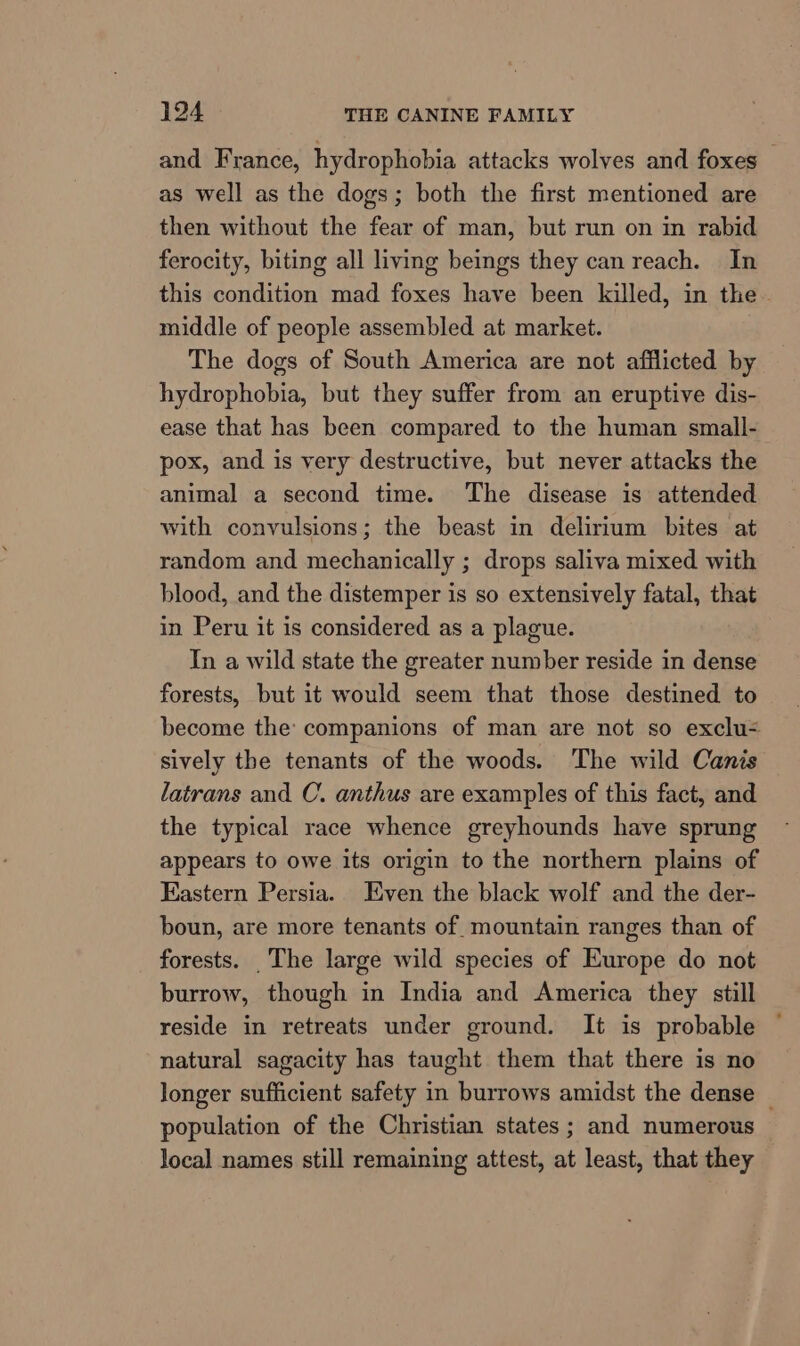 and France, hydrophobia attacks wolves and foxes — as well as the dogs; both the first mentioned are then without the fear of man, but run on im rabid ferocity, biting all living beings they can reach. In this condition mad foxes have been killed, in the~ middle of people assembled at market. The dogs of South America are not afflicted by hydrophobia, but they suffer from an eruptive dis- ease that has been compared to the human small- pox, and is very destructive, but never attacks the animal a second time. The disease is attended with convulsions; the beast in delirium bites at random and mechanically ; drops saliva mixed with blood, and the distemper is so extensively fatal, that in Peru it is considered as a plague. In a wild state the greater number reside in dense forests, but it would seem that those destined to become the: companions of man are not so exclu- sively the tenants of the woods. The wild Canis latrans and C. anthus are examples of this fact, and the typical race whence greyhounds have sprung appears to owe its origin to the northern plains of Eastern Persia. Even the black wolf and the der- boun, are more tenants of. mountain ranges than of forests. _The large wild species of Europe do not burrow, though in India and America they still reside in retreats under ground. It is probable natural sagacity has taught them that there is no longer sufficient safety in burrows amidst the dense | population of the Christian states ; and numerous — local names still remaining attest, at least, that they