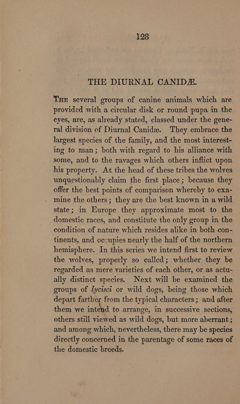 THE DIURNAL CANIDZ. THE several groups of canine animals which are provided with a circular disk or round pupa in the eyes, are, as already stated, classed under the gene- ral division of Diurnal Canide. They embrace the largest species of the family, and the most interest- ing to man; both with regard to his alliance with some, and to the ravages which others inflict upon his property. At the head of these tribes the wolves unquestionably claim the first place; because they offer the best points of comparison whereby to exa- mine the others; they are the best known in a wild state; in Europe they approximate most to the domestic races, and constitute the only group in the condition of nature which resides alike in both con- tinents, and occupies nearly the half of the northern hemisphere. In this series we intend first to review the wolves, properly so called; whether they be regarded as mere varieties of each other, or as actu- ally distinct species. Next will be examined the groups of /yciscc or wild dogs, being those which depart farther from the typical characters ; and after them we intend to arrange, in successive sections, others still viewed as wild dogs, but more aberrant ; and among which, nevertheless, there may be species directly concerned in the parentage of some races of the domestic breeds.