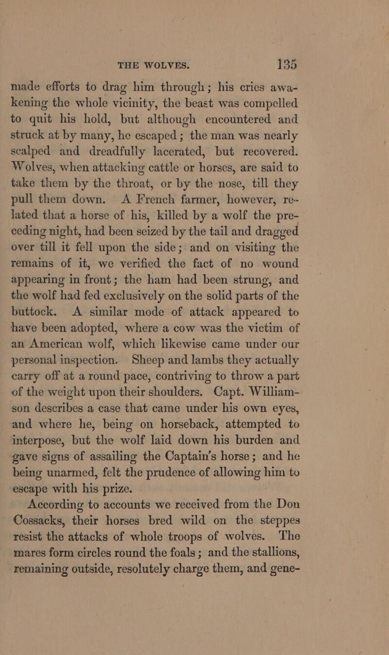 made efforts to drag him through; his cries awa- kening the whole vicinity, the beast was compelled to quit his hold, but although encountered and struck at by many, he escaped; the man was nearly scalped and dreadfully lacerated, but recovered. Wolves, when attacking cattle or horses, are said to take them by the throat, or by the nose, till they pull them down. A French farmer, however, re- lated that a horse of his, killed by a wolf the pre- ceding night, had been seized by the tail and dragged over till it fell upon the side; and on visiting the remains of it, we verified the fact of no wound appearing in front; the ham had been strung, and the wolf had fed exclusively on the solid parts of the buttock. A similar mode of attack appeared to have been adopted, where a cow was the victim of an American wolf, which likewise came under our personal inspection. Sheep and lambs they actually carry off at a round pace, contriving to throw a part of the weight upon their shoulders. Capt. William- son describes a case that came under his own eyes, and where he, being on horseback, attempted to interpose, but the wolf laid down his burden and gave signs of assailing the Captain’s horse; and he being unarmed, felt the prudence of allowing him to escape with his prize. According to accounts we received from the Don Cossacks, their horses bred wild on the steppes resist the attacks of whole troops of wolves. The mares form circles round the foals ; and the stallions, remaining outside, resolutely charge them, and gene-