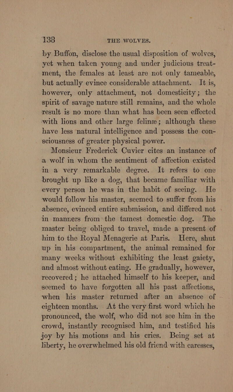 by Buffon, disclose the usual disposition of wolves, yet when taken young and under judicious treat- ment, the females at least are not only tameable, but actually evince considerable attachment. It is, however, only attachment, not domesticity; the spirit of savage nature still remains, and the whole result is no more than what has been seen effected with lions and other large feline; although these have less natural intelligence and possess the con- sciousness of greater physical power. Monsieur Frederick Cuvier cites an instance of a wolf in whom the sentiment of affection existed in a very remarkable degree. It refers to one brought up like a dog, that became familiar with every person he was in the habit of seeing. He would follow his master, seemed to suffer from his absence, evinced entire submission, and differed not in manners from the tamest domestic dog. The master being obliged to travel, made a present of him to the Royal Menagerie at Paris. Here, shut up in his compartment, the animal remained for many weeks without exhibiting the least gaiety, and almost without eating. He gradually, however, recovered ; he attached himself to his keeper, and seemed to have forgotten all his past affections, when his master returned after an absence of eighteen months. At the very first word which he pronounced, the wolf, who did not see him in the crowd, instantly recognised him, and testified his joy by his motions and his cries. Being set at liberty, he overwhelmed his old friend with caresses,