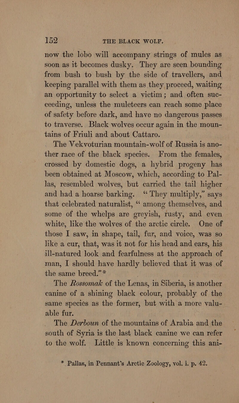 now the lobo will accompany strings of mules as soon as it becomes dusky. They are seen bounding from bush to bush by the side of travellers, and keeping parallel with them as they proceed, waiting an opportunity to select a victim; and often suc- ceeding, unless the muleteers can reach some place of safety before dark, and have no dangerous passes to traverse.. Black wolves occur again in the moun- tains of Friuli and about Cattaro. The Vekvoturian mountain-wolf of Russia is ano- ther race of the black species. From the females, crossed by domestic dogs, a hybrid progeny has been obtained at Moscow, which, according to Pal- las, resembled wolves, but carried the tail higher and had a hoarse barking. “They multiply,” says that celebrated naturalist, “‘ among themselves, and some of the whelps are greyish, rusty, and even white, like the wolves of the arctic circle. One of those I saw, in shape, tail, fur, and voice, was so like a cur, that, was it not for his head and ears, his ill-natured look and fearfulness at the approach of man, I should have hardly believed that it was of the same breed.” * The Rossomak of the Lenas, in Siberia, is another canine of a shining black colour, probably of the same species as the former, but with a more valu- able fur. The Derboun of the mountains of Arabia and the south of Syria is the last, black canine we can refer to the wolf. Little is known concerning this ani- * Pallas, in Pennant’s Arctic Zoology, vol. i. p. 42.