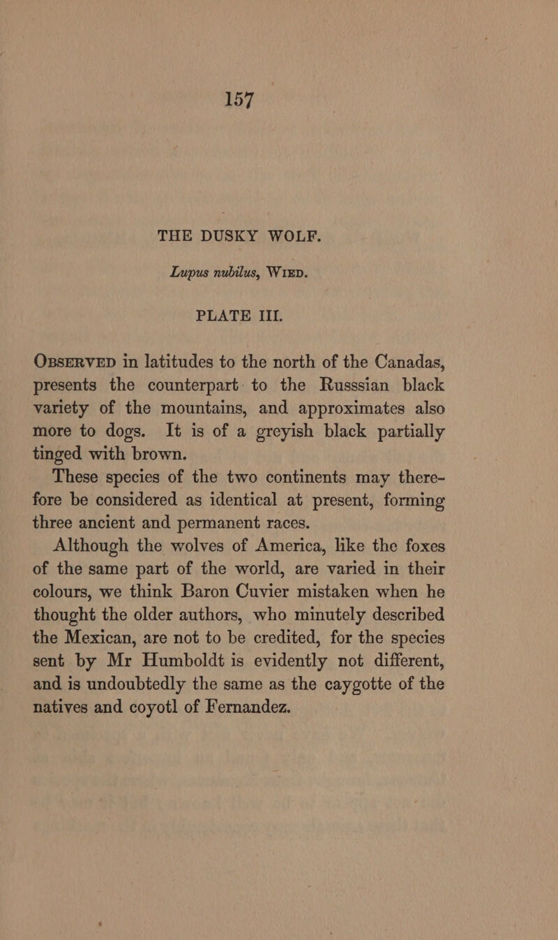 THE DUSKY WOLF. Lupus nubilus, WiED. PLATE III. OBSERVED in latitudes to the north of the Canadas, presents the counterpart to the Russsian black variety of the mountains, and approximates also more to dogs. It is of a greyish black partially tinged with brown. These species of the two continents may there- fore be considered as identical at present, forming three ancient and permanent races. Although the wolves of America, like the foxes of the same part of the world, are varied in their colours, we think Baron Cuvier mistaken when he thought the older authors, who minutely described the Mexican, are not to be credited, for the species sent by Mr Humboldt is evidently not different, and is undoubtedly the same as the caygotte of the natives and coyotl of Fernandez.