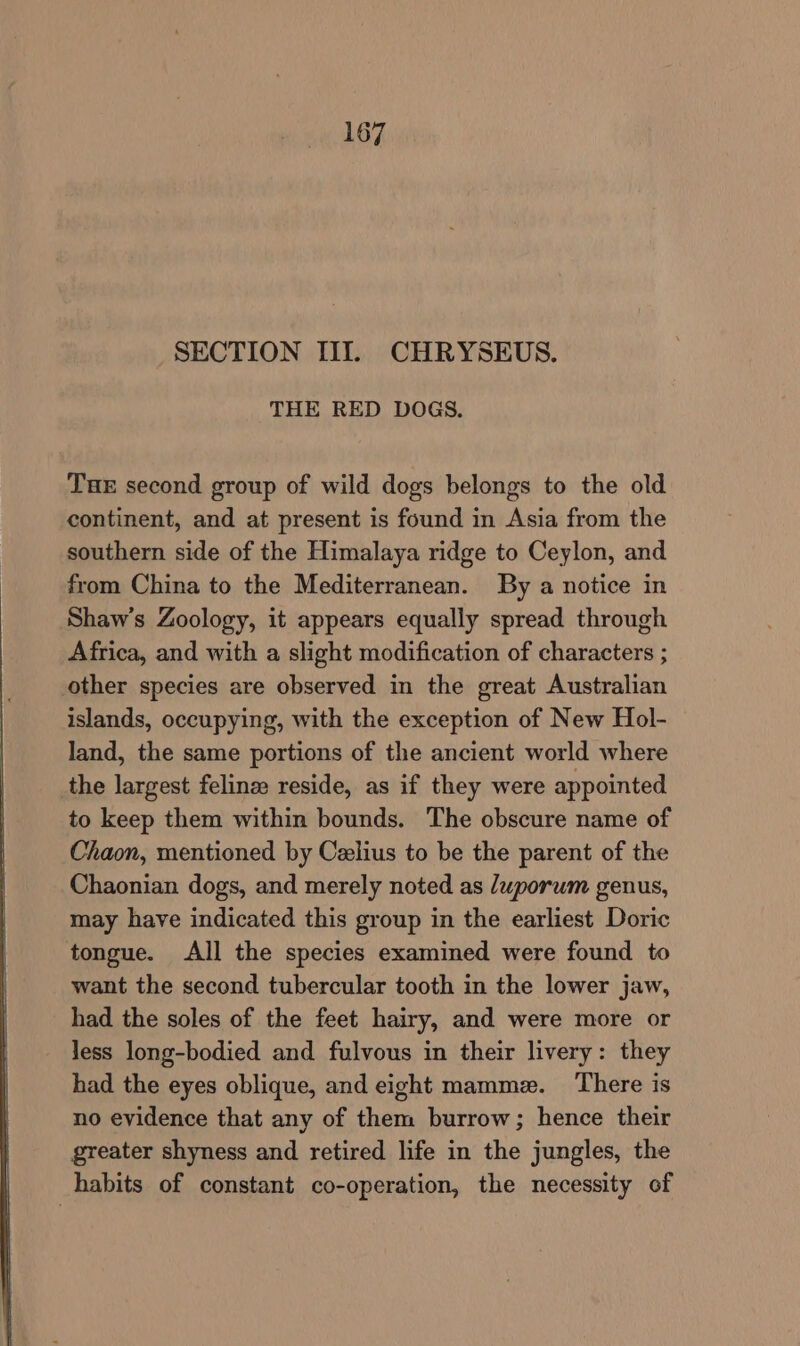 SECTION III. CHRYSEUS. THE RED DOGS. THE second group of wild dogs belongs to the old continent, and at present is found in Asia from the southern side of the Himalaya ridge to Ceylon, and from China to the Mediterranean. By a notice in Shaw's Zoology, it appears equally spread through Africa, and with a slight modification of characters ; other species are observed in the great Australian islands, occupying, with the exception of New Hol- land, the same portions of the ancient world where the largest feline reside, as if they were appointed to keep them within bounds. The obscure name of Chaon, mentioned by Celius to be the parent of the Chaonian dogs, and merely noted as /uporum genus, may have indicated this group in the earliest Doric tongue. All the species examined were found to want the second tubercular tooth in the lower jaw, had the soles of the feet hairy, and were more or less long-bodied and fulvous in their livery: they had the eyes oblique, and eight mamme. ‘There is no evidence that any of them burrow; hence their greater shyness and retired life in the jungles, the habits of constant co-operation, the necessity of