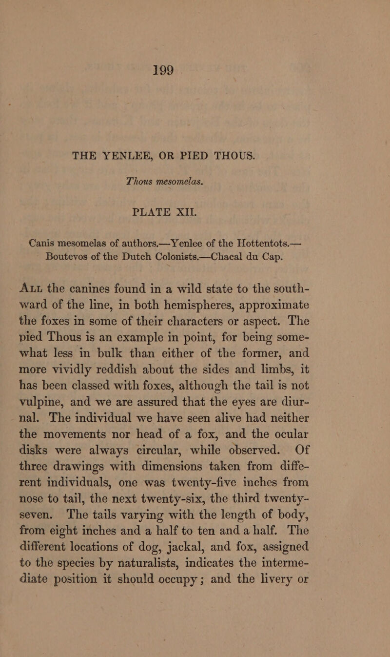 THE YENLEE, OR PIED THOUS. Thous mesomelas. PLATE XII. Canis mesomelas of authors.—Yenlee of the Hottentots.— Boutevos of the Dutch Colonists.—Chacal du Cap. Aut the canines found in a wild state to the south- ward of the line, in both hemispheres, approximate the foxes in some of their characters or aspect. The pied Thous is an example in point, for being some- what less in bulk than either of the former, and more vividly reddish about the sides and limbs, it has been classed with foxes, although the tail is not vulpine, and we are assured that the eyes are diur- nal. The individual we have seen alive had neither the movements nor head of a fox, and the ocular disks were always circular, while observed. Of three drawings with dimensions taken from diffe- rent individuals, one was twenty-five inches from nose to tail, the next twenty-six, the third twenty- seven. The tails varying with the length of body, from eight inches and a half to ten and a half. The different locations of dog, jackal, and fox, assigned to the species by naturalists, indicates the iterme- diate position it should occupy; and the livery or