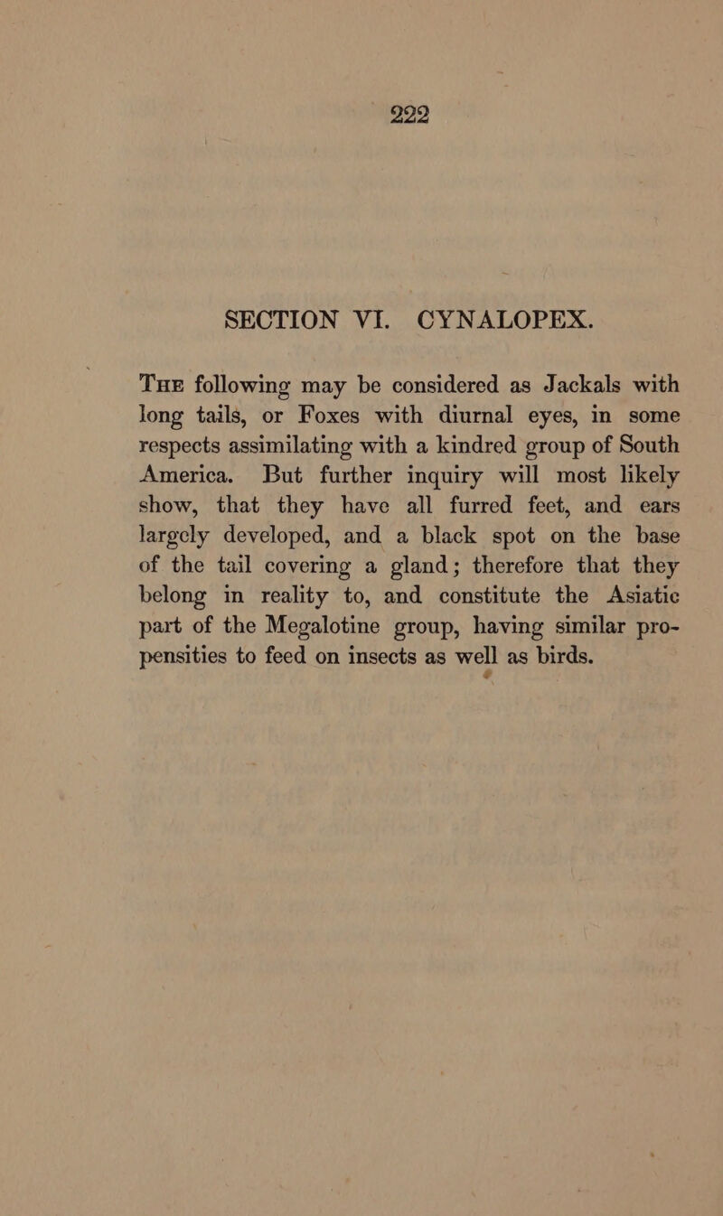 SECTION VI. CYNALOPEX. TueE following may be considered as Jackals with long tails, or Foxes with diurnal eyes, in some respects assimilating with a kindred group of South America. But further inquiry will most likely show, that they have all furred feet, and ears largely developed, and a black spot on the base of the tail covering a gland; therefore that they belong in reality to, and constitute the Asiatic part of the Megalotine group, having similar pro- pensities to feed on insects as well as birds.